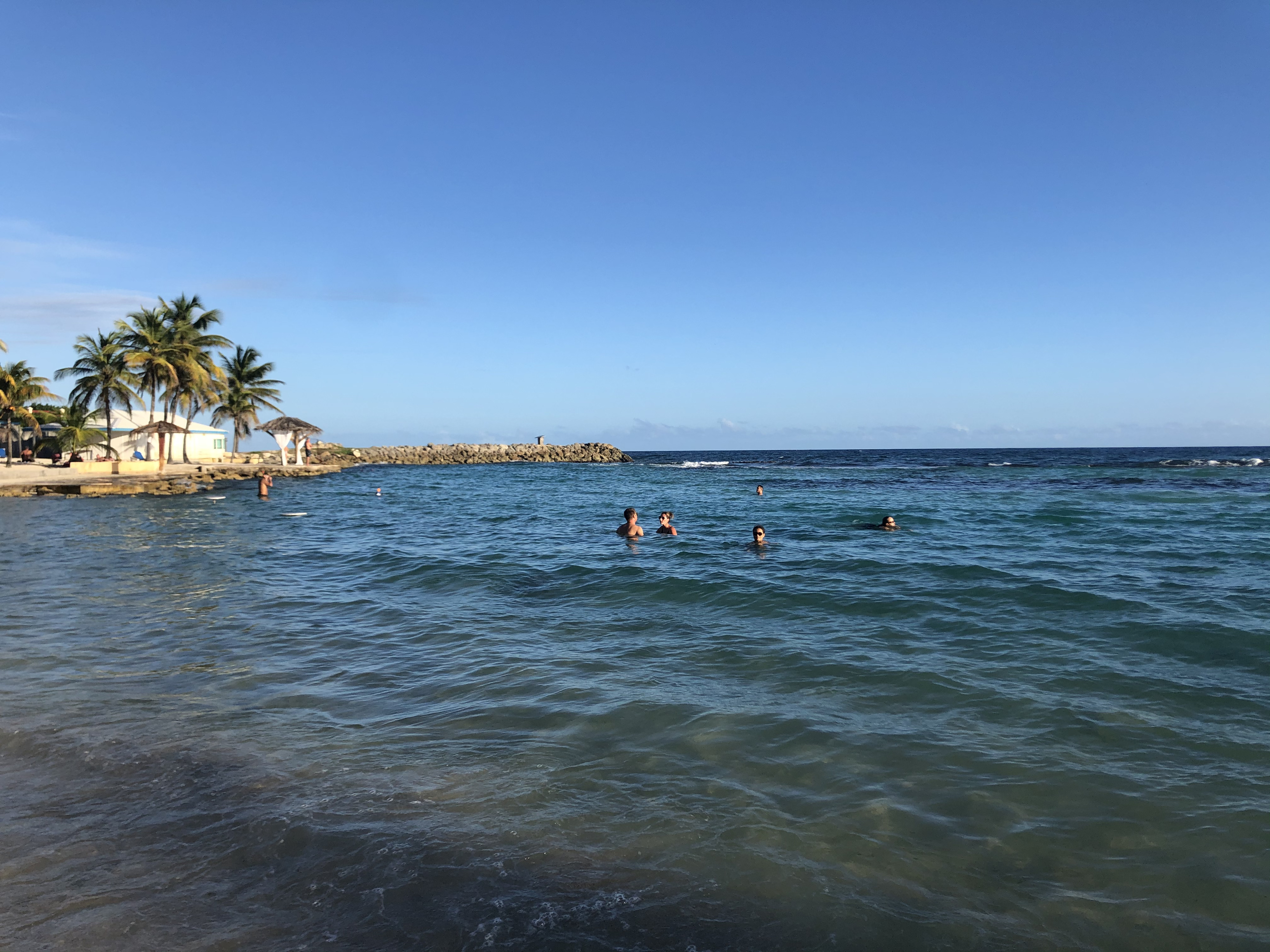 รูปถ่าย กวาเดอลูป(Guadeloupe) โรงแรมเลอมันกานาโอ(Le Manganao Hotel) 2021-02 49