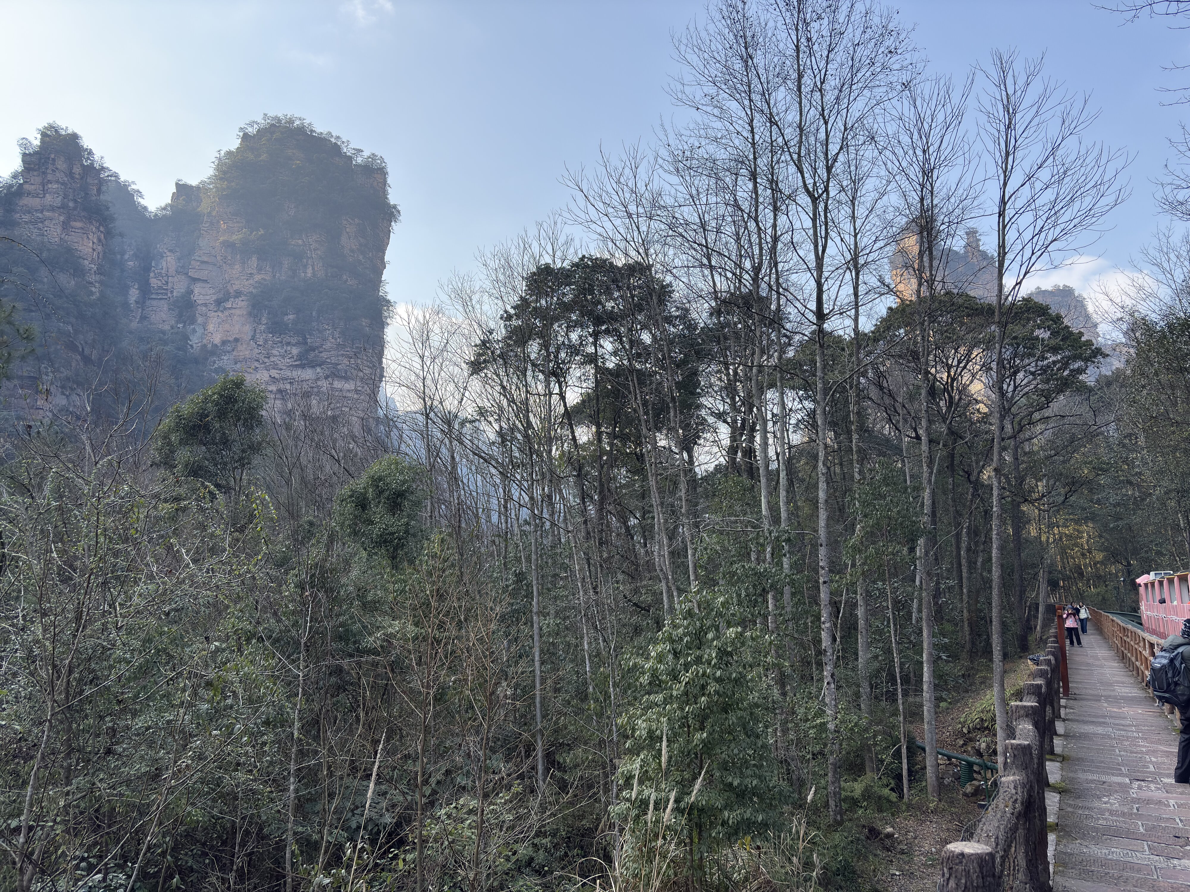 รูปถ่าย จีน(China) จางเจียเจี้ย(Zhangjiajie) ภูเขาเทียนจื่อ(Tianzi Mountain) 2026-01 383