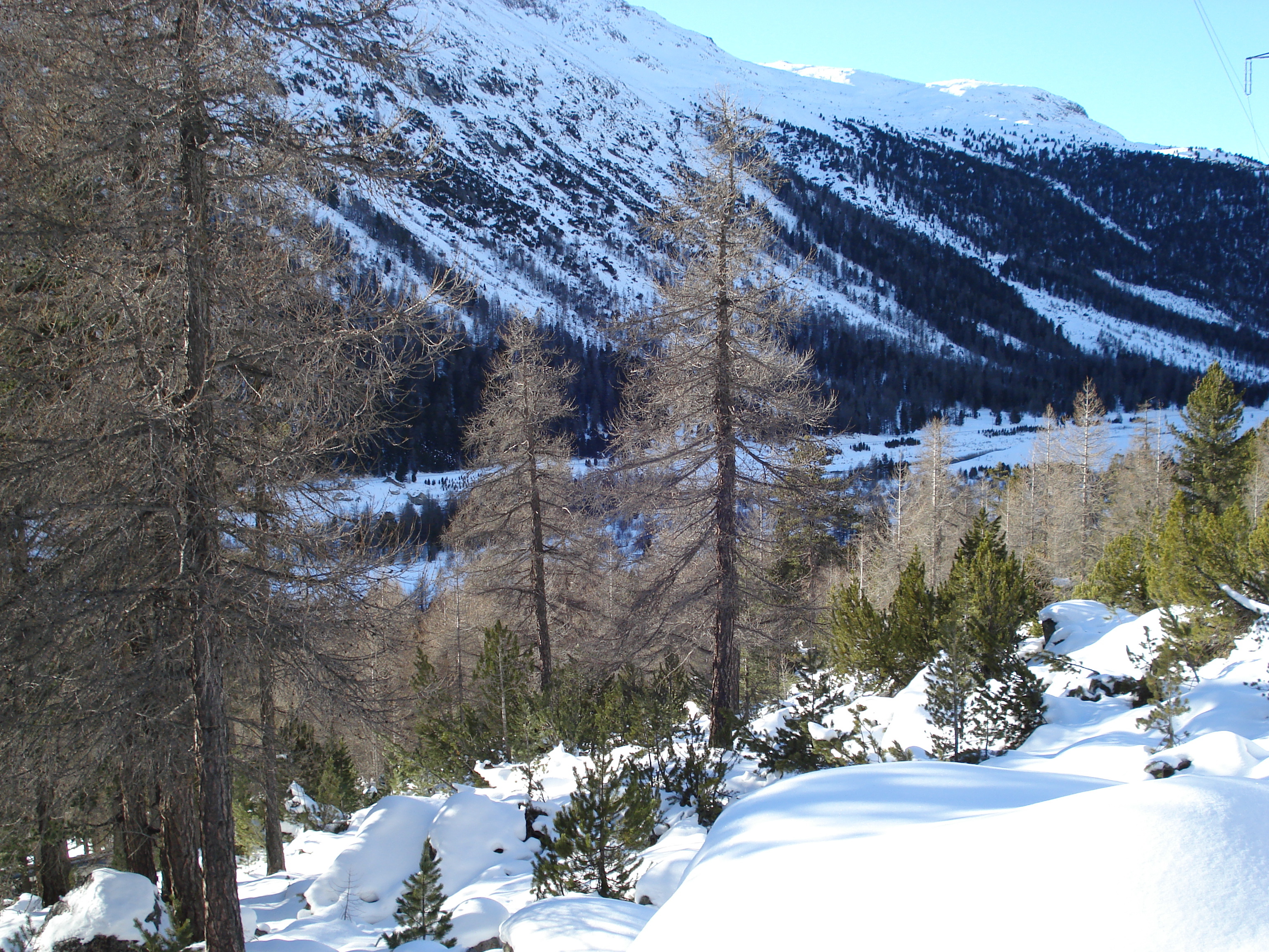 รูปถ่าย สวิสเซอร์แลนด์(Switzerland) จากปอนเตรซีนาไปลาโกเบียนโก(From Pontresina to Lago Bianco) 2007-01 10