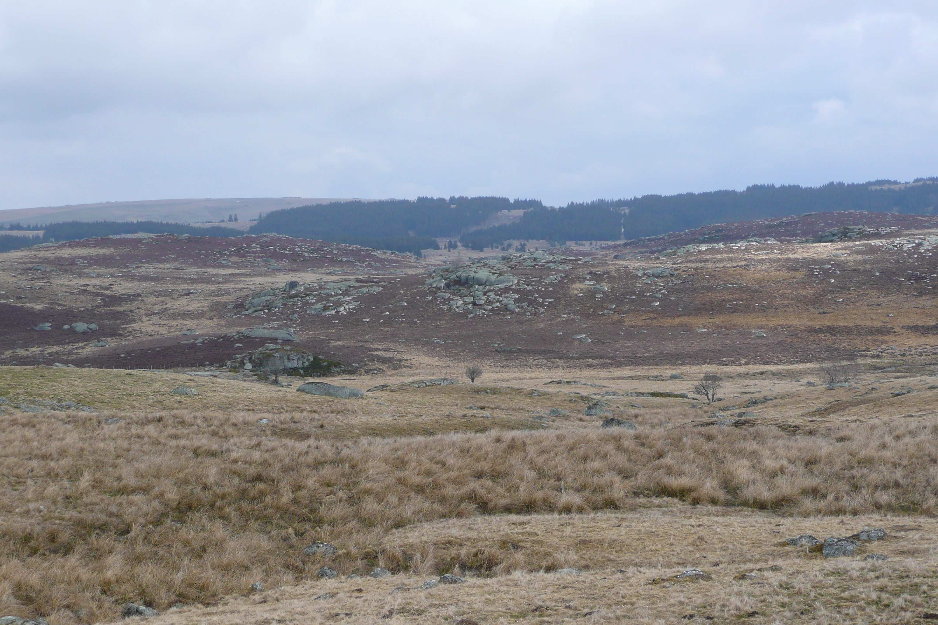 รูปถ่าย ฝรั่งเศส(France) โอบรัก(L'Aubrac) 2008-04 86
