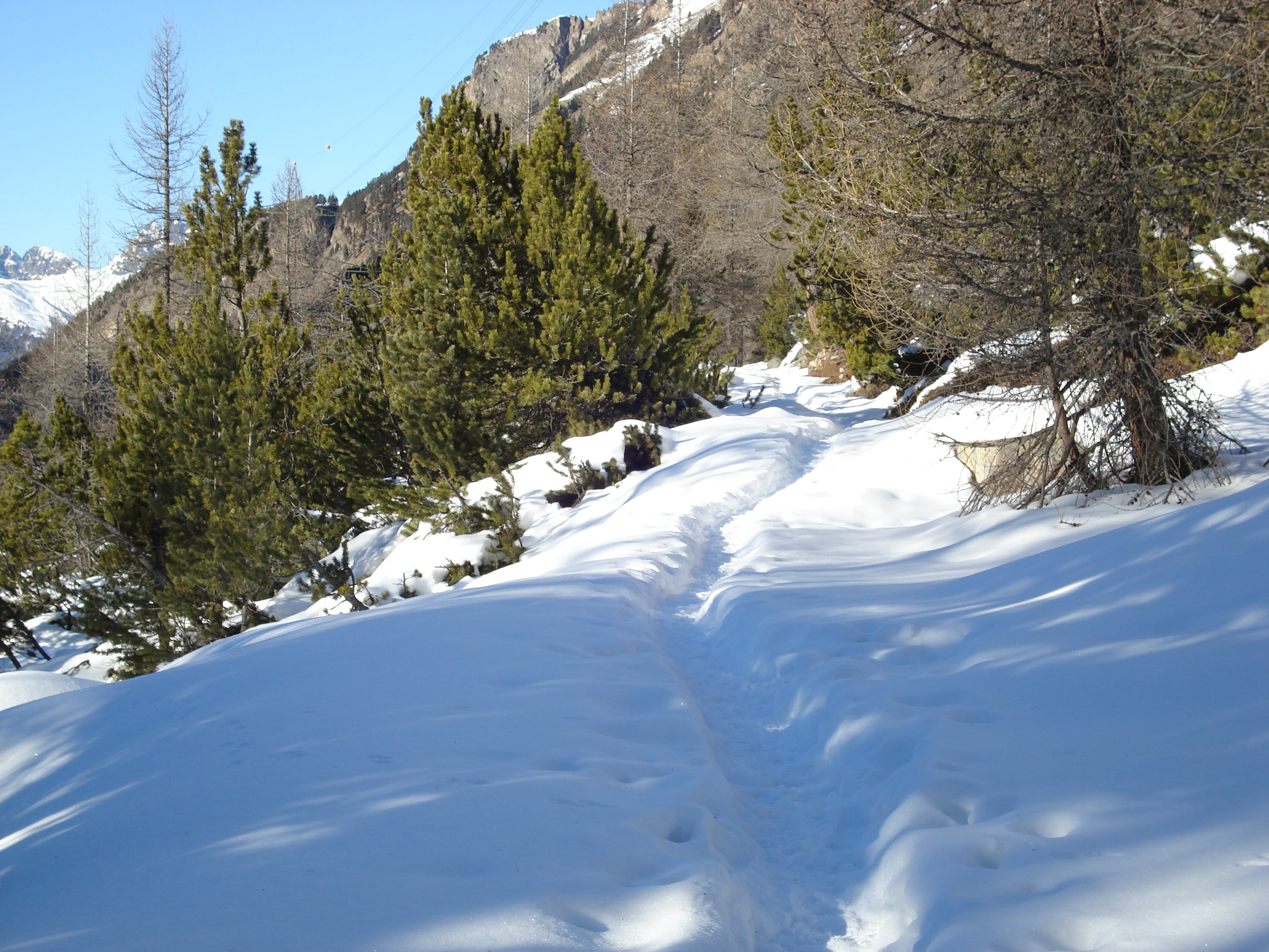 รูปถ่าย สวิสเซอร์แลนด์(Switzerland) จากปอนเตรซีนาไปลาโกเบียนโก(From Pontresina to Lago Bianco) 2007-01 7