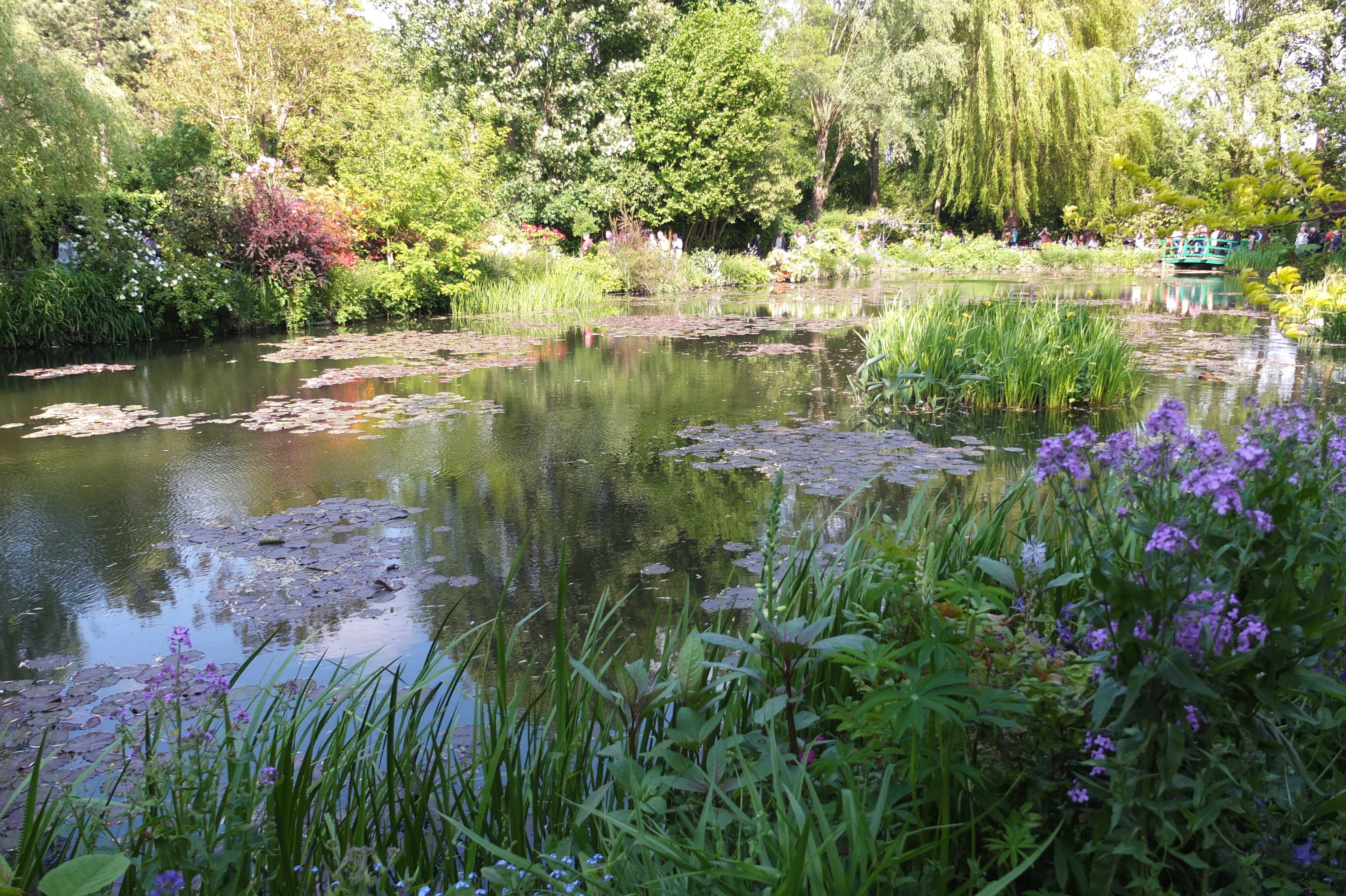 รูปถ่าย ฝรั่งเศส(France) ฌีแวร์นี(Giverny) 2013-06 91