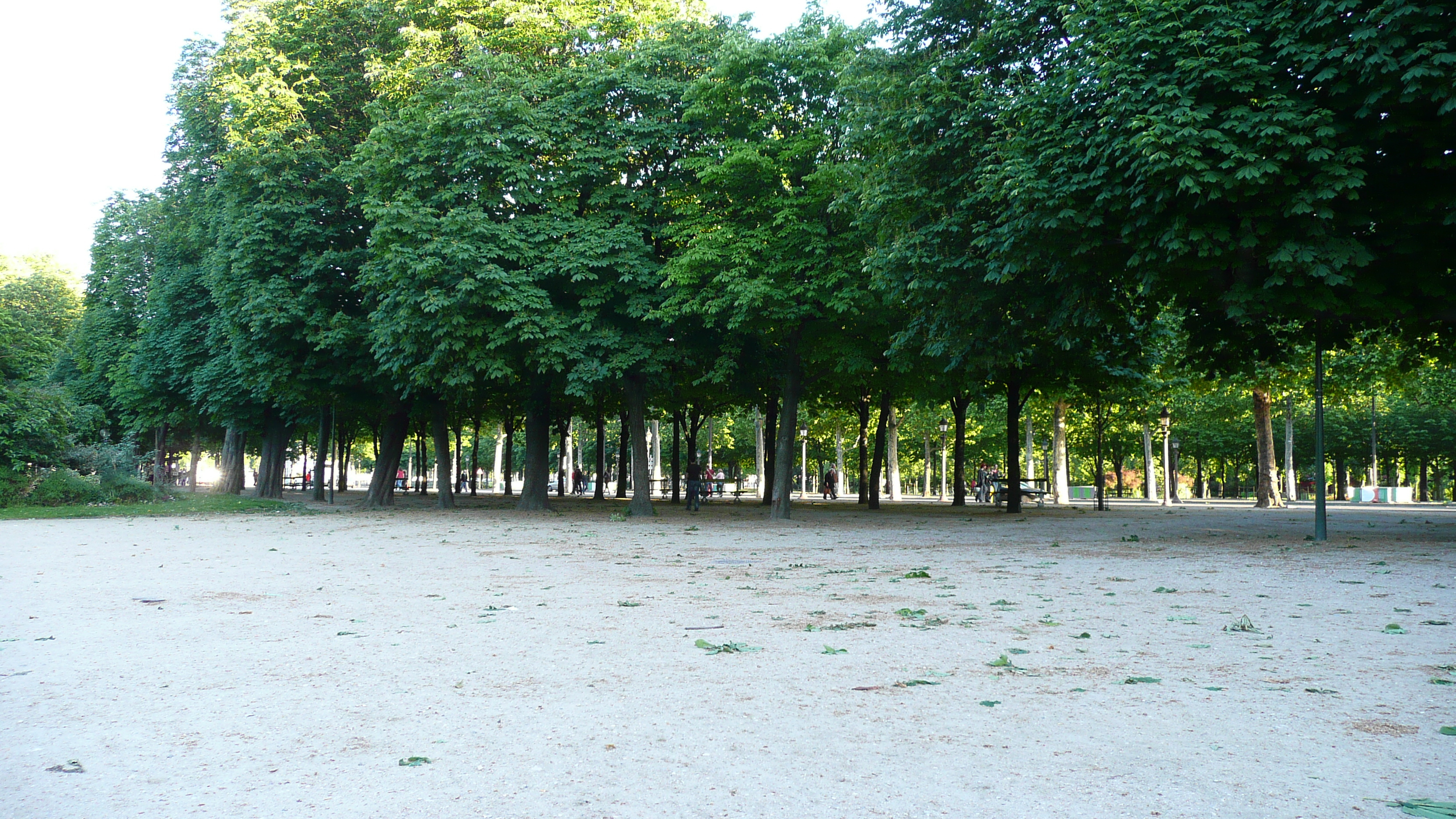รูปถ่าย ฝรั่งเศส(France) ปารีส(Paris) ช็องเซลีเซ(Champs Elysees) 2007-04 63