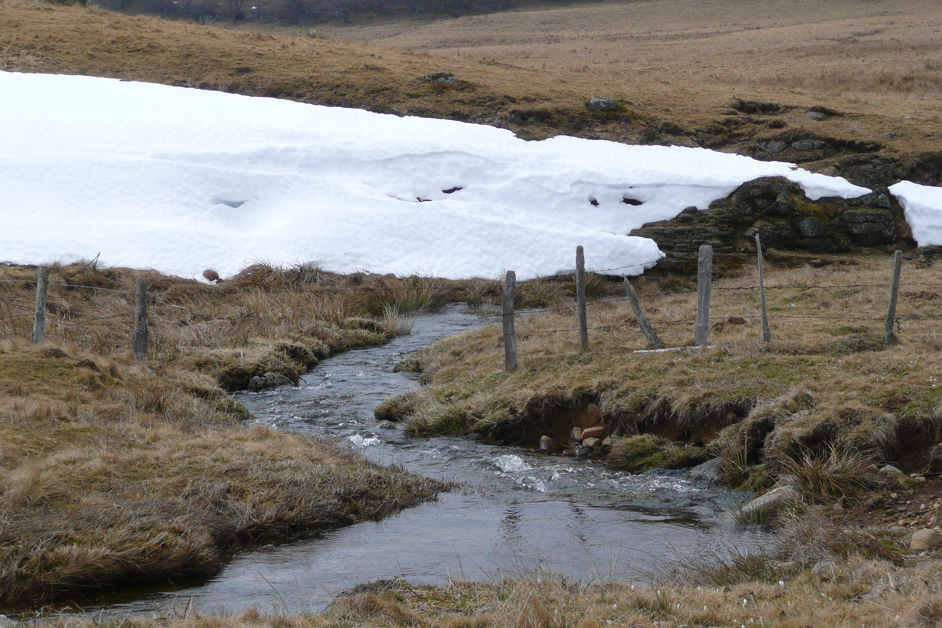 รูปถ่าย ฝรั่งเศส(France) โอบรัก(L'Aubrac) 2008-04 120