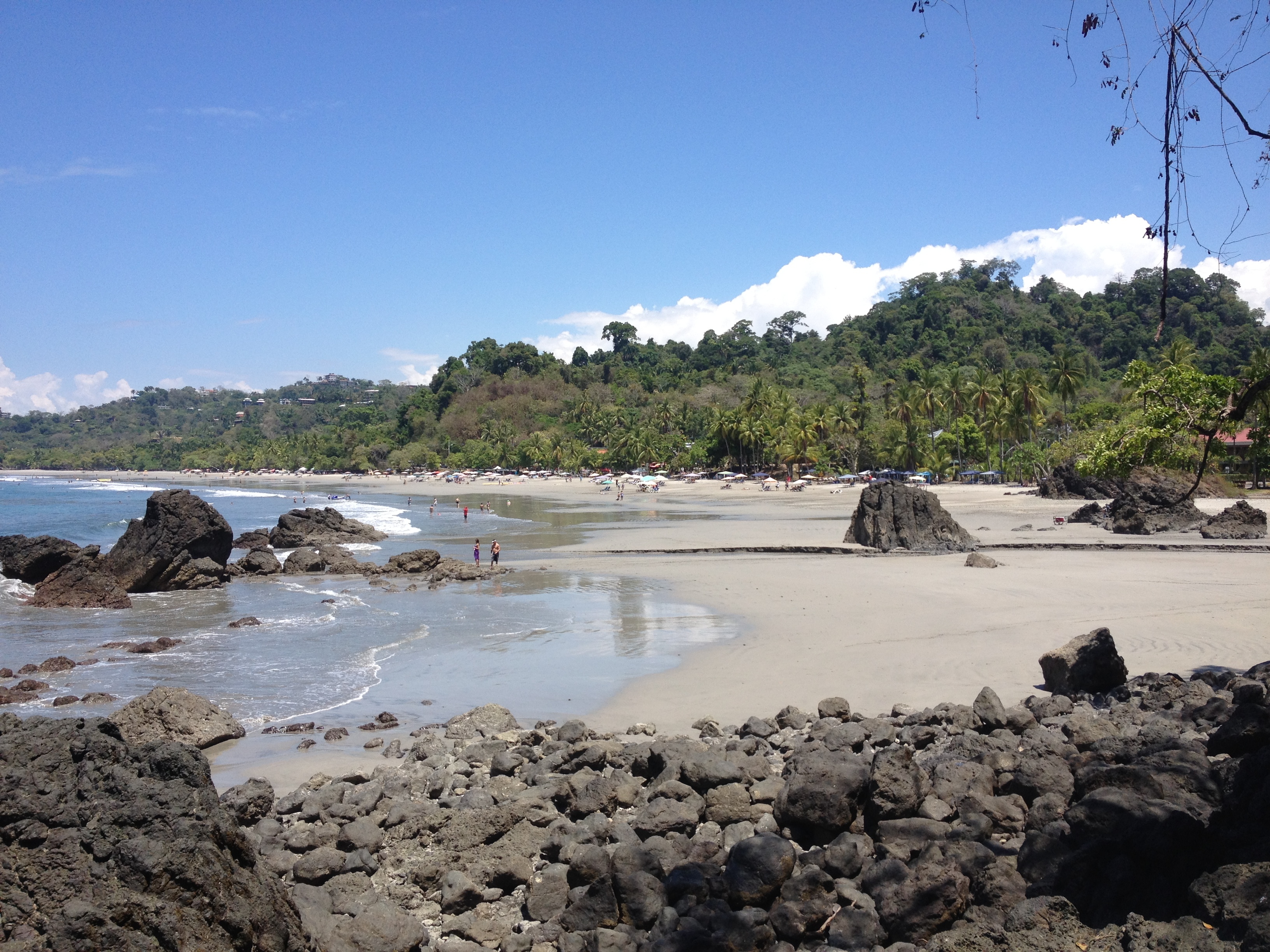 รูปถ่าย คอสตาริกา(Costa Rica) มานวยล์อันโตนีโอ(Manuel Antonio) 2015-03 43
