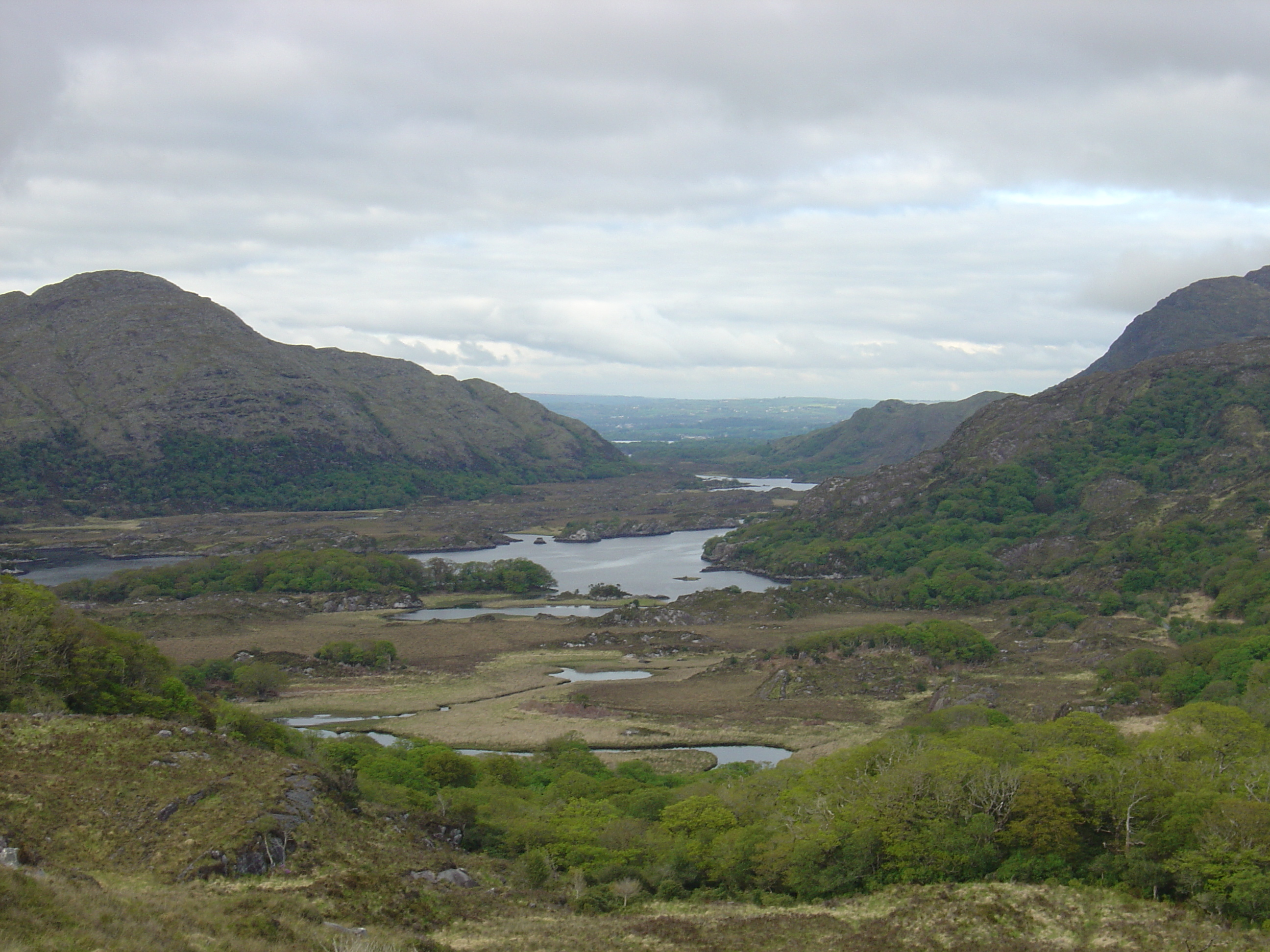 รูปถ่าย ไอร์แลนด์(Ireland) เคอร์รี่(Kerry) สวนสาธารณะคิลลาร์นีย์เนชั่นเนล(Killarney National Park) 2004-05 43