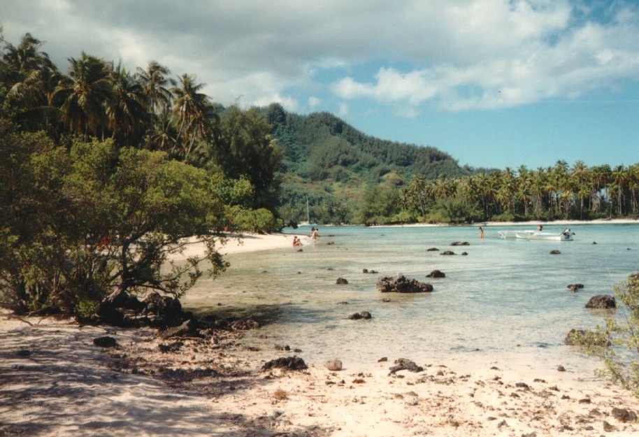 รูปถ่าย เฟรนช์โพลี่นีเซีย(Polynesia) มูเรีย(Moorea) 1993-04 17