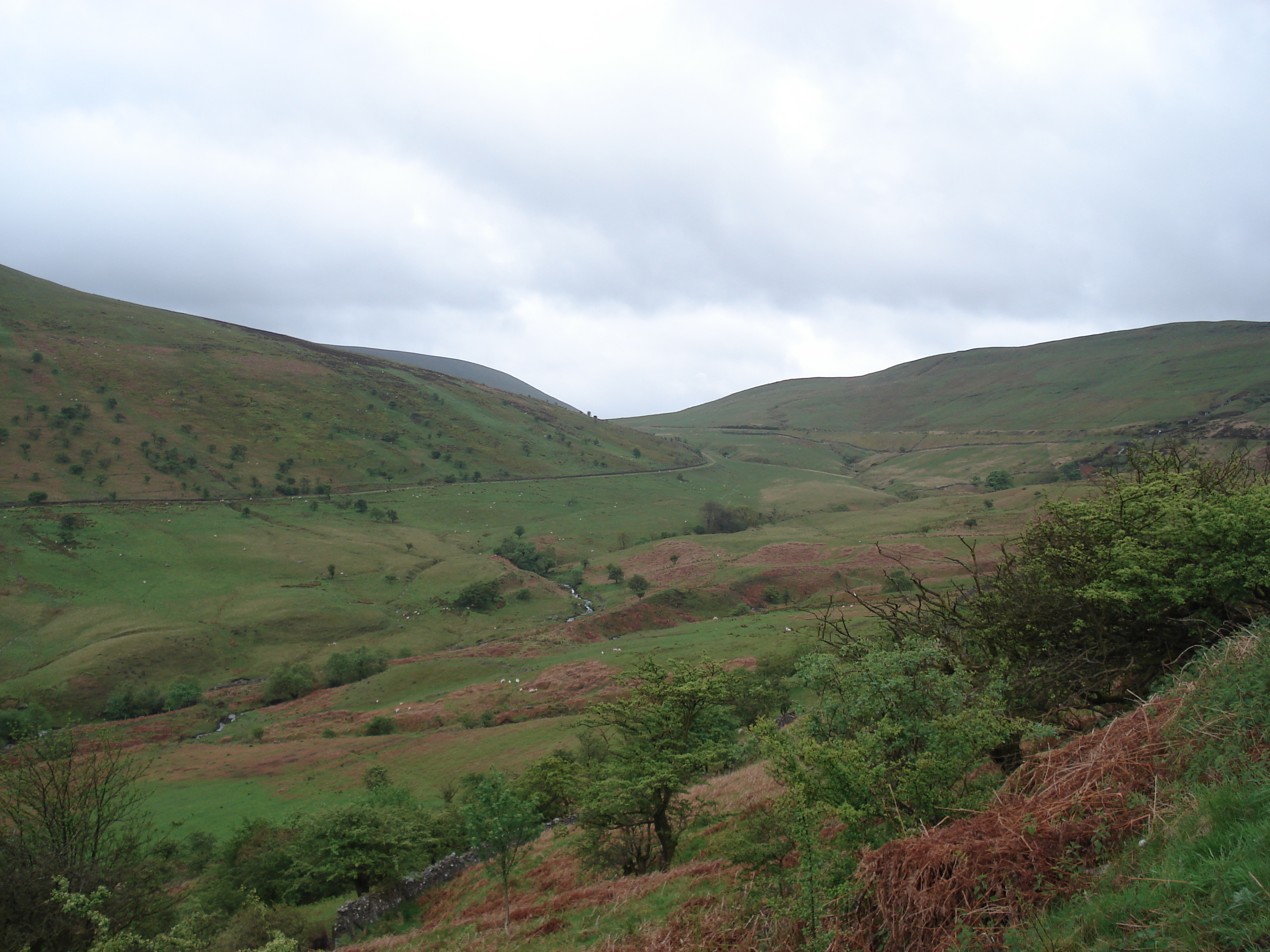 รูปถ่าย อังกฤษ(United Kingdom) อุทยานแห่งชาติเบรคอนบีคอนส์(Brecon Beacons National Park) 2006-05 116