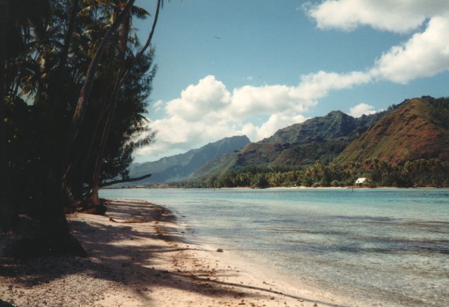 รูปถ่าย เฟรนช์โพลี่นีเซีย(Polynesia) มูเรีย(Moorea) 1993-04 34