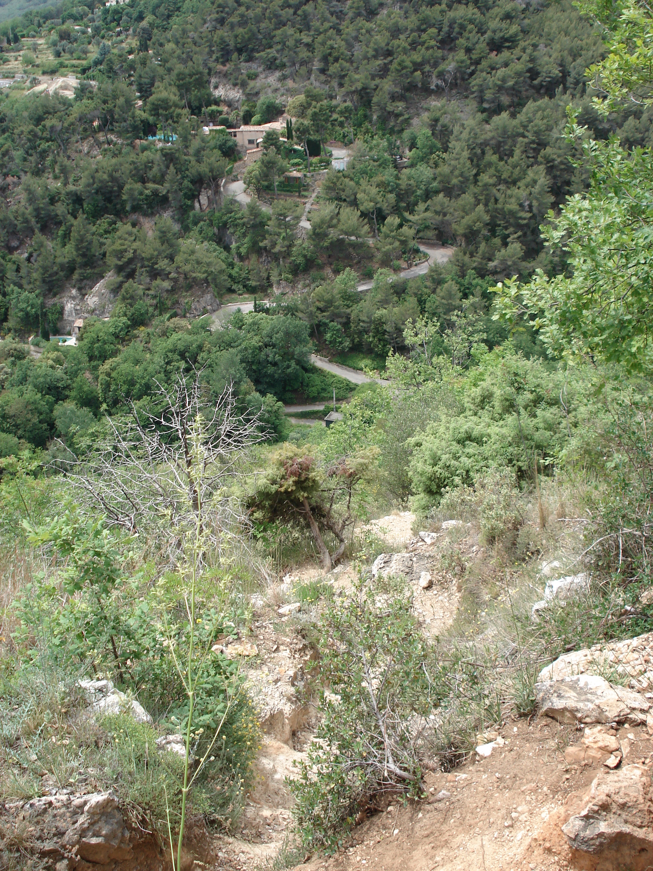 รูปถ่าย ฝรั่งเศส(France) วังซ์(Vence) บาอู(Baou) 2006-06 3
