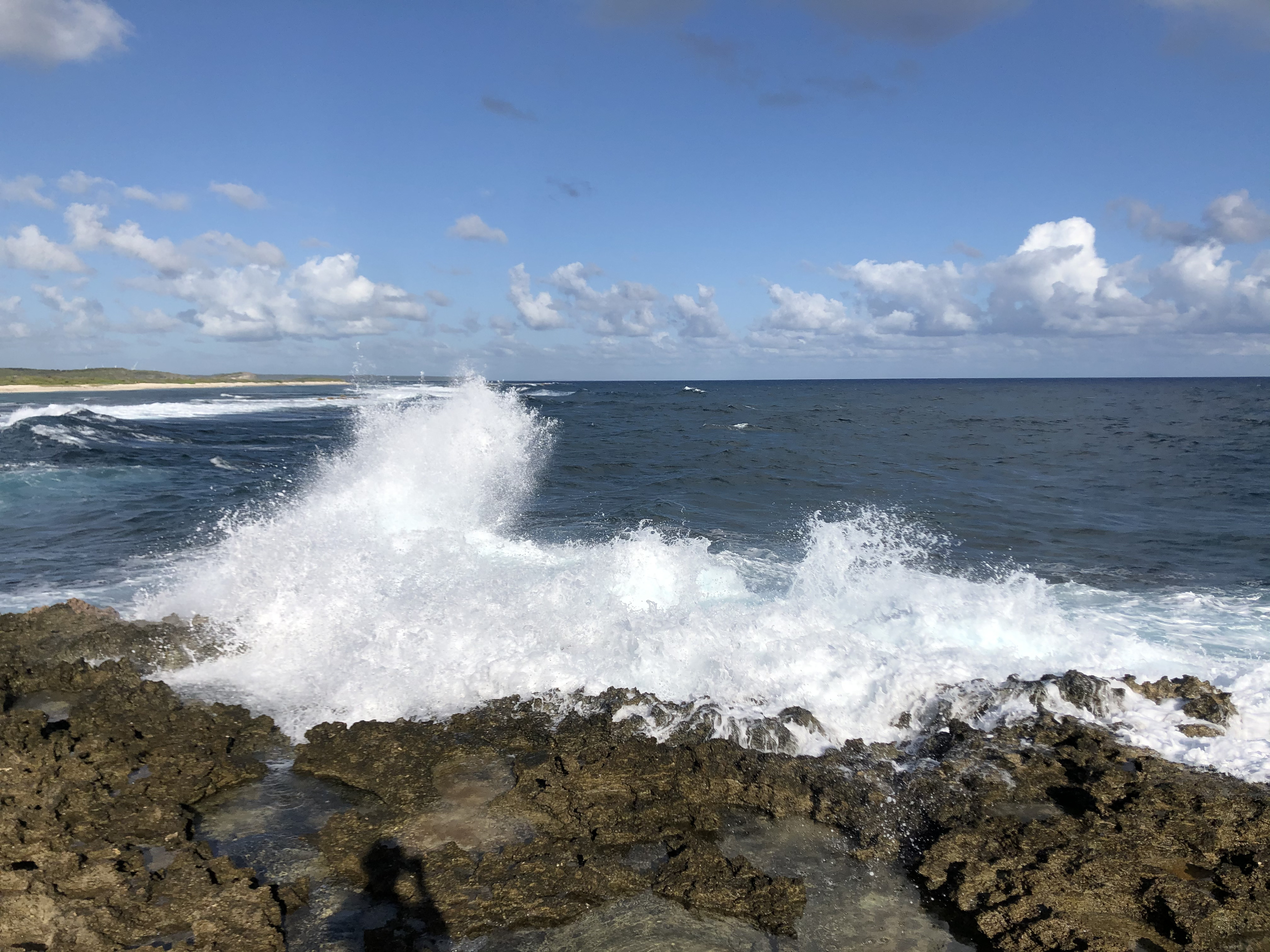 รูปถ่าย กวาเดอลูป(Guadeloupe) แหลมคาสเซิลพอยต์(Castle Point) 2021-02 193
