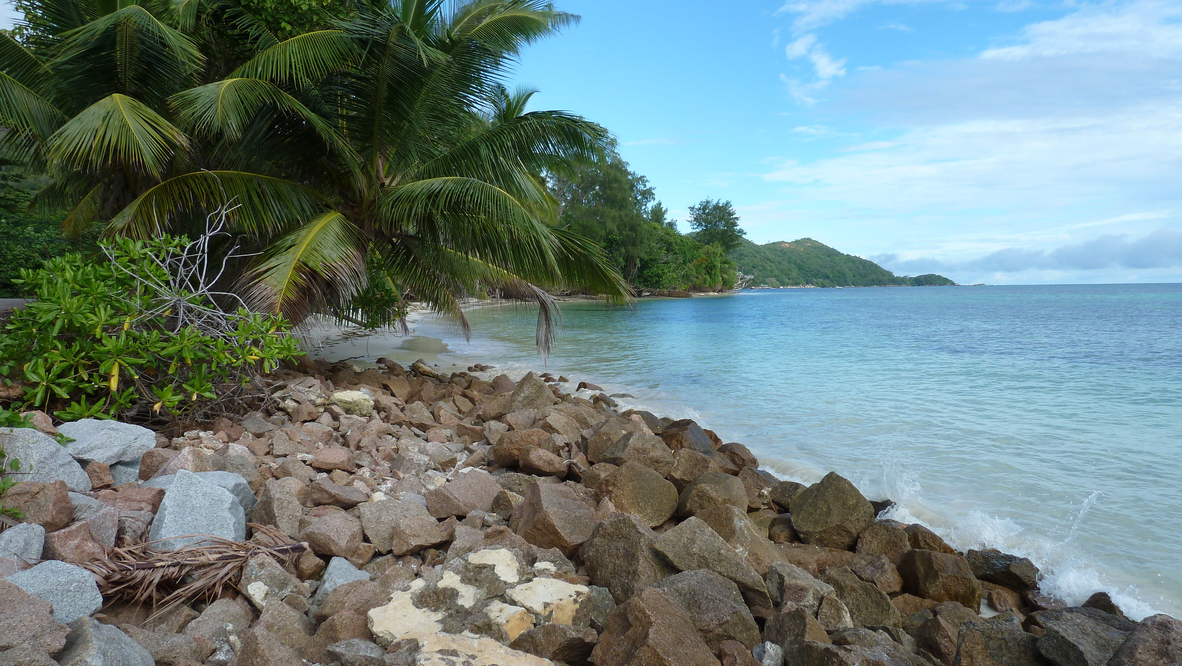 รูปถ่าย เซเชลส์(Seychelles) เกาะปราลิน(Praslin) 2011-10 172
