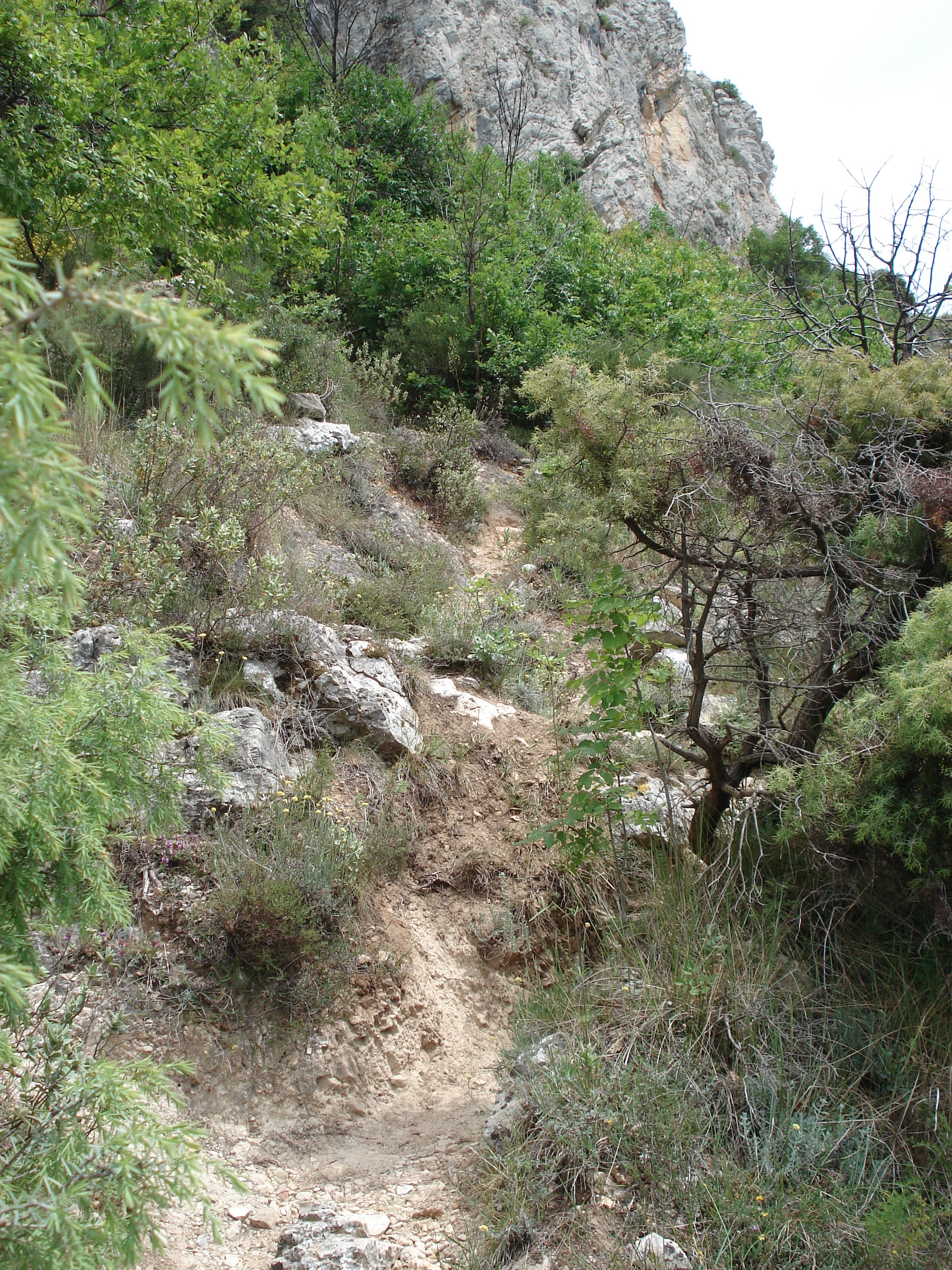 รูปถ่าย ฝรั่งเศส(France) วังซ์(Vence) บาอู(Baou) 2006-06 94