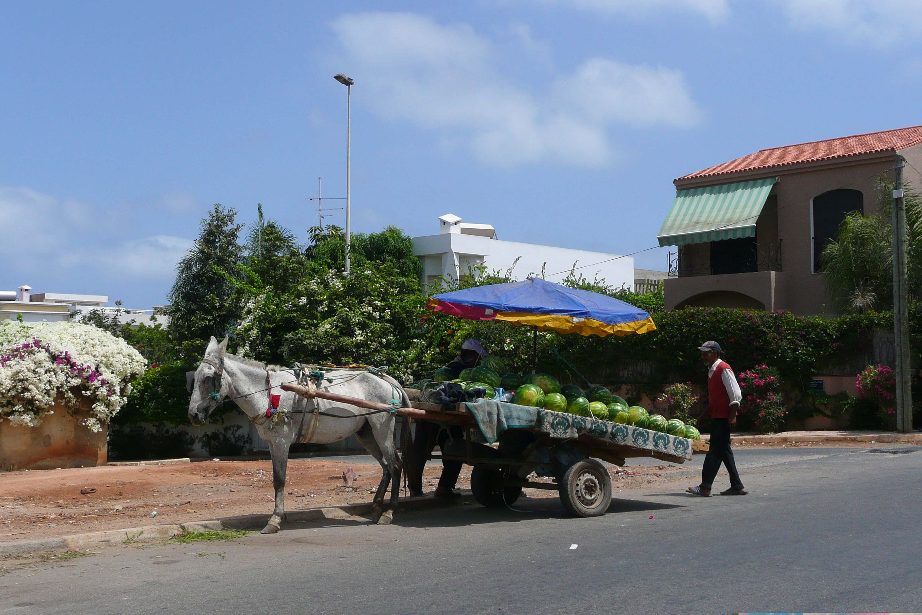 รูปถ่าย โมร็อกโก(Morocco) คาซาบลังกา(Casablanca) ถนนเลียบทะเลคาซาบลังกา(Casablanca Corniche) 2008-07 49