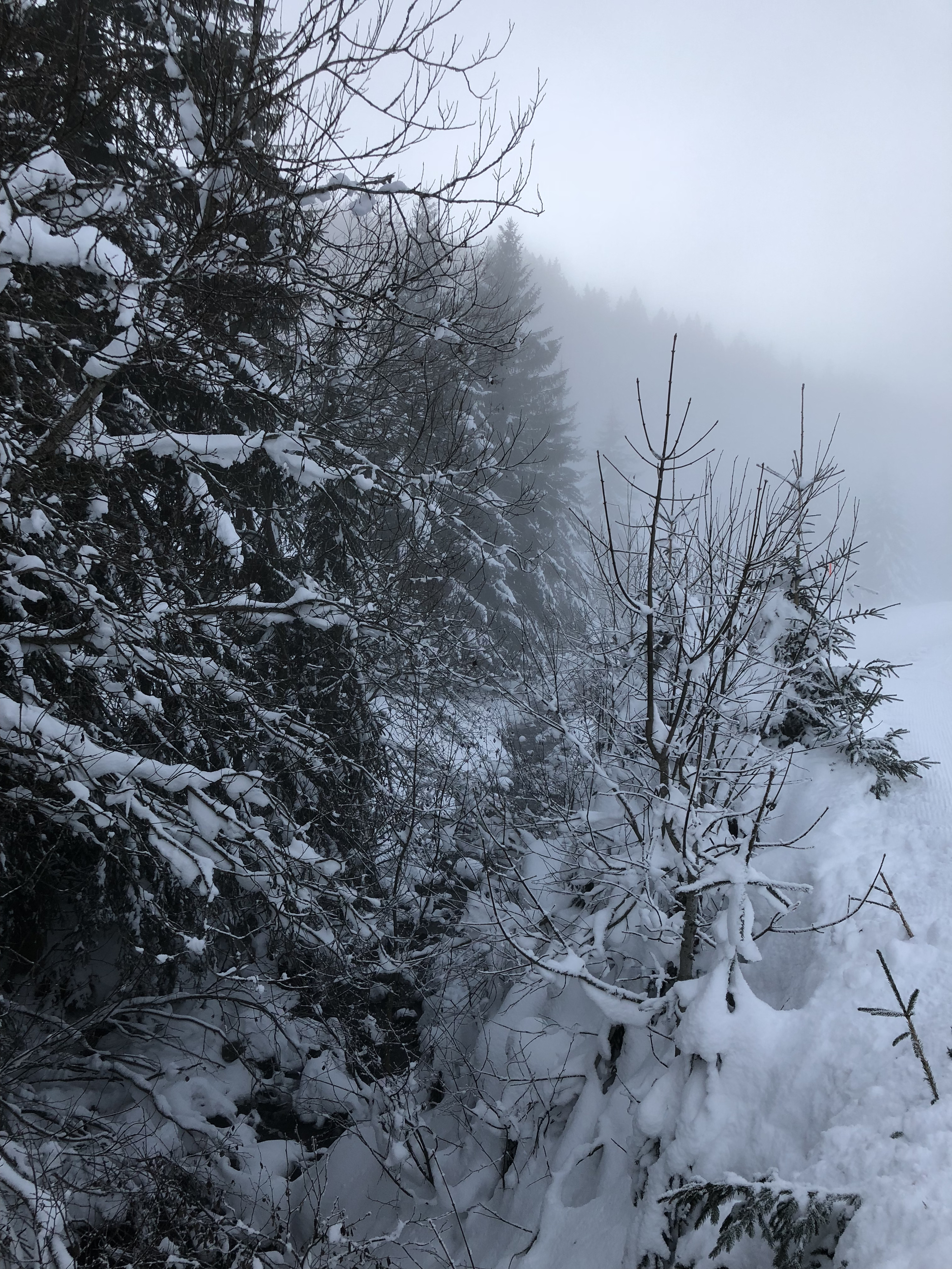 รูปถ่าย ฝรั่งเศส(France) ลากลูซา(La Clusaz) 2017-12 181