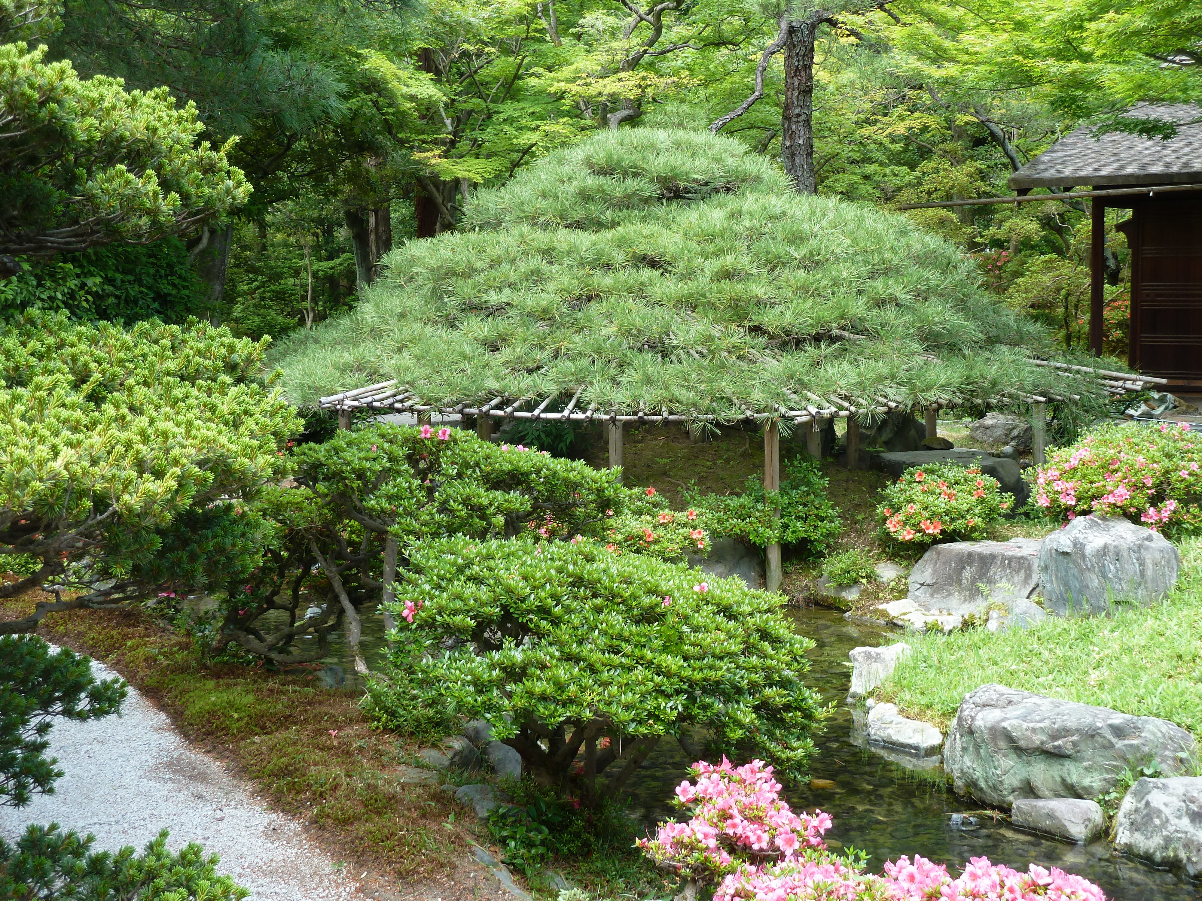 รูปถ่าย ญี่ปุ่น(Japan) เกียวโต(Kyoto) พระราชวังหลวงเกียวโต(Kyoto Imperial Palace) 2010-06 91
