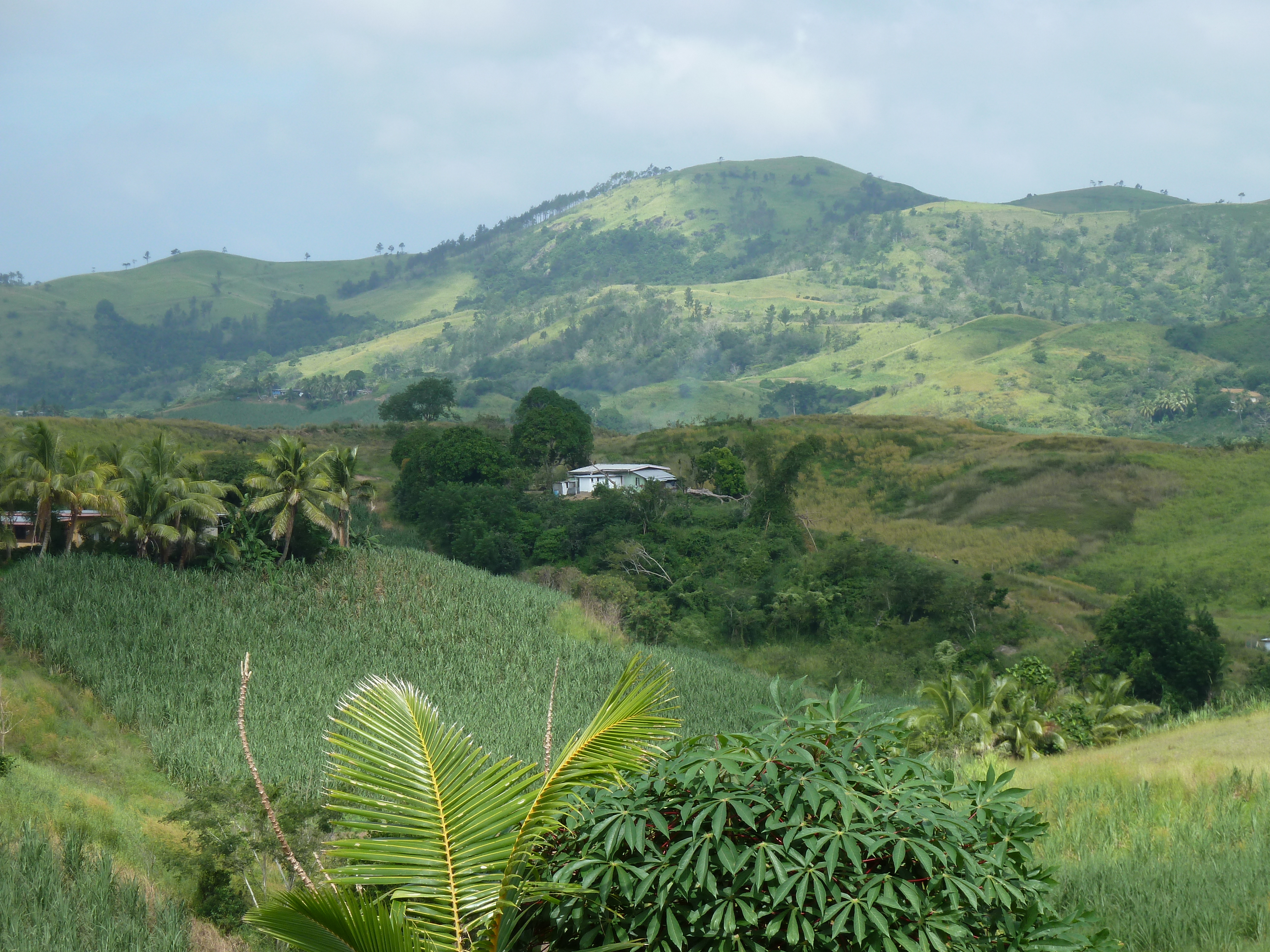 รูปถ่าย ฟิจิ(Fiji) ถนนจากนาดีไปนาตาโดลา(Nadi to Natadola road) 2010-05 8