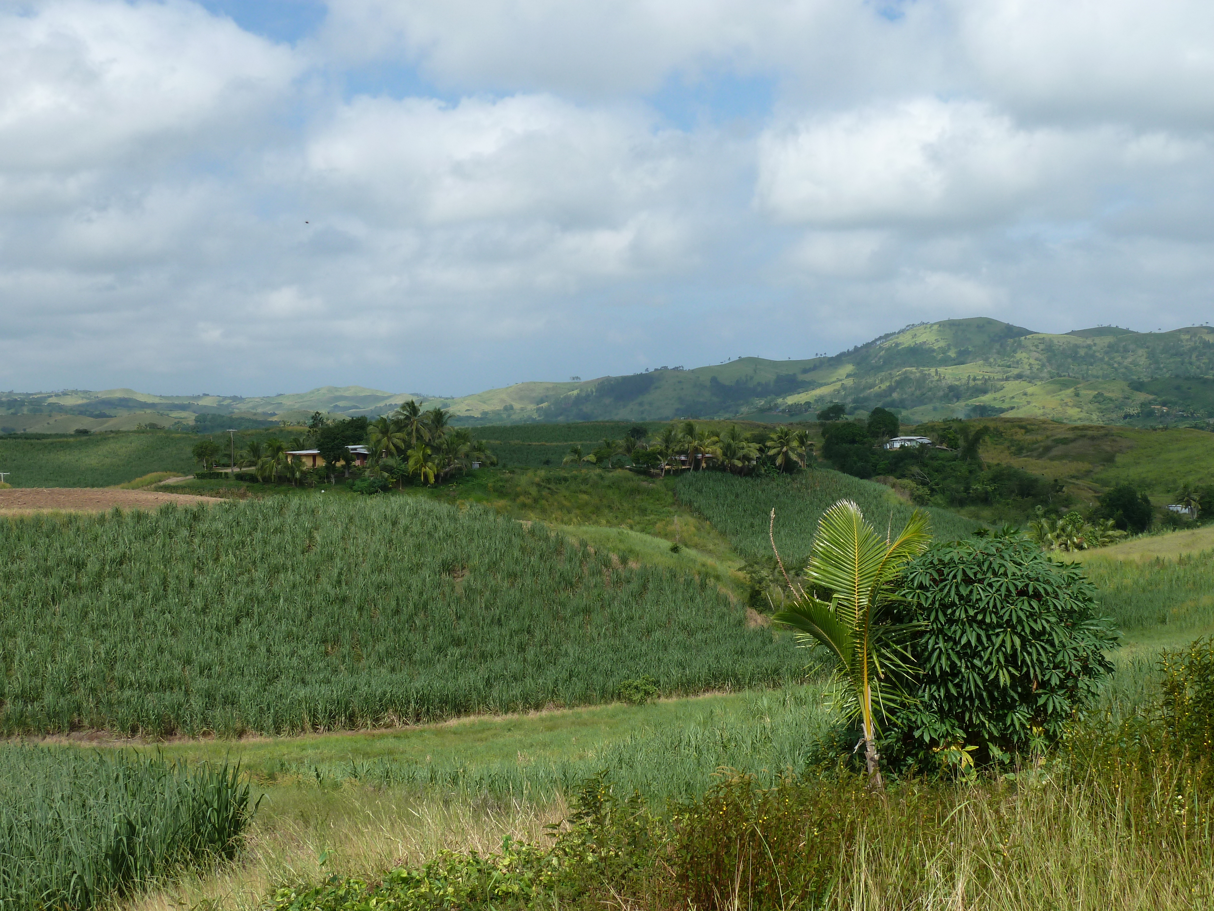รูปถ่าย ฟิจิ(Fiji) ถนนจากนาดีไปนาตาโดลา(Nadi to Natadola road) 2010-05 9