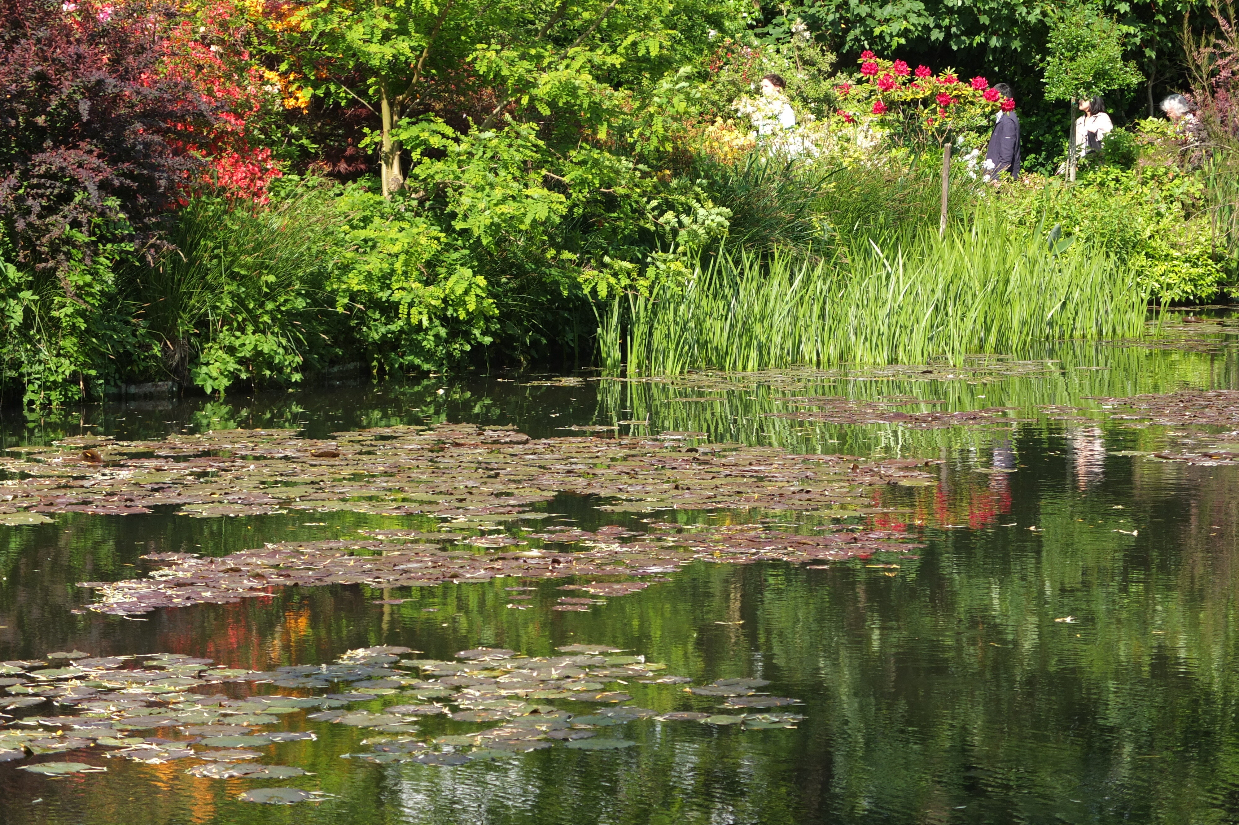 รูปถ่าย ฝรั่งเศส(France) ฌีแวร์นี(Giverny) 2013-06 159
