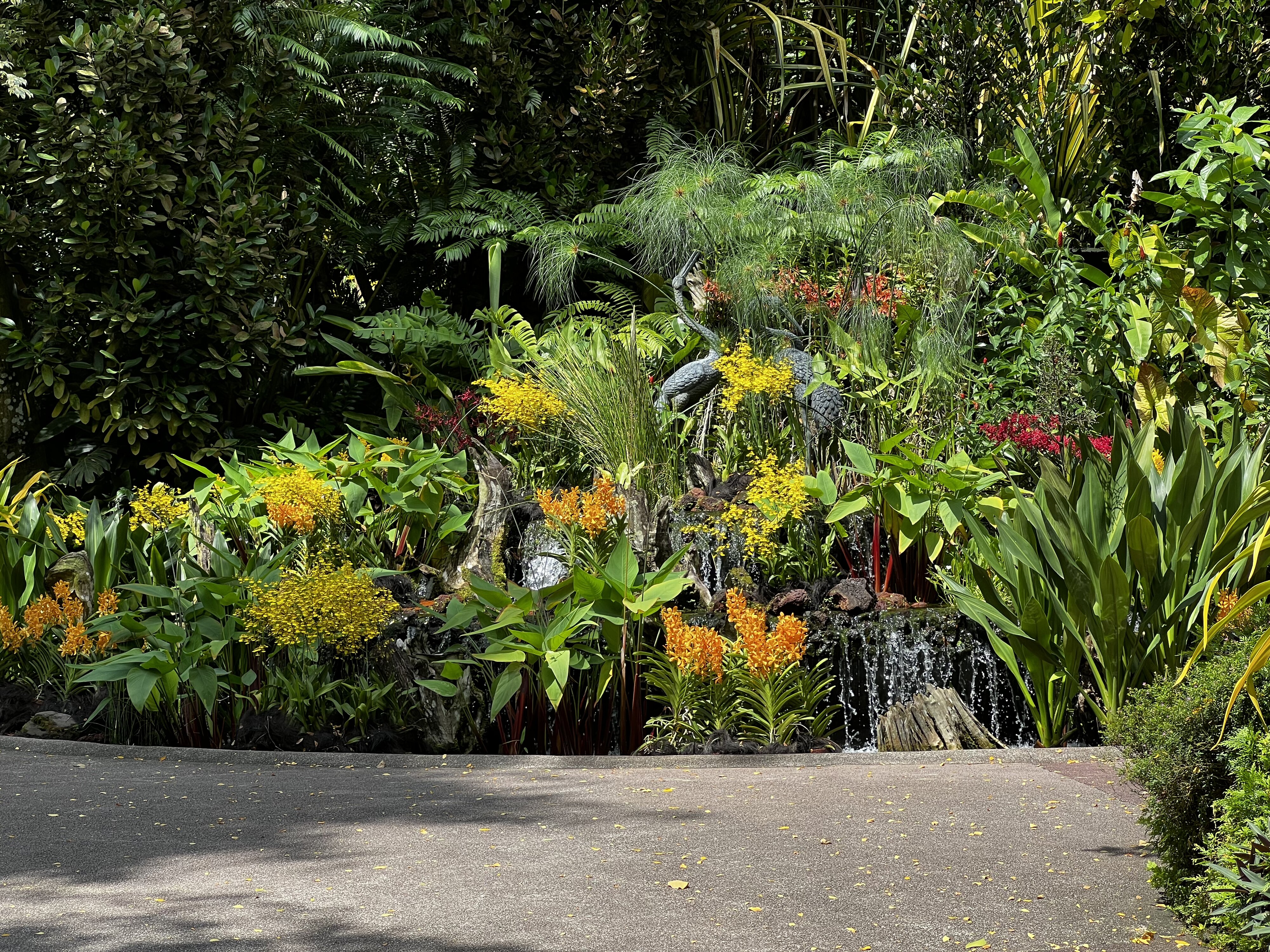 รูปถ่าย สิงคโปร์(Singapore) สวนพฤกษศาสตร์สิงคโปร์(Singapore Botanic Gardens) 2023-01 50