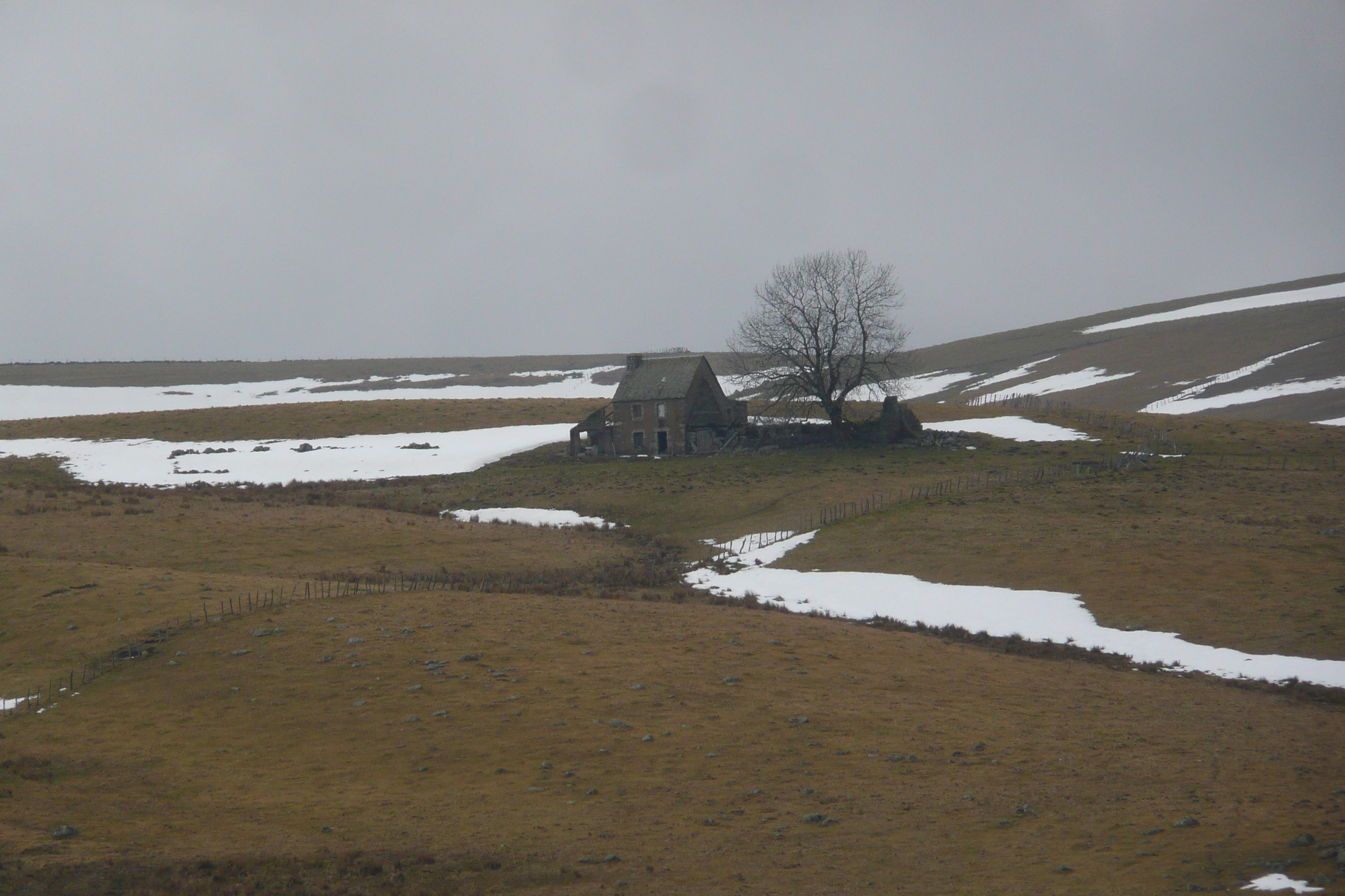 รูปถ่าย ฝรั่งเศส(France) โอบรัก(L'Aubrac) 2008-04 108