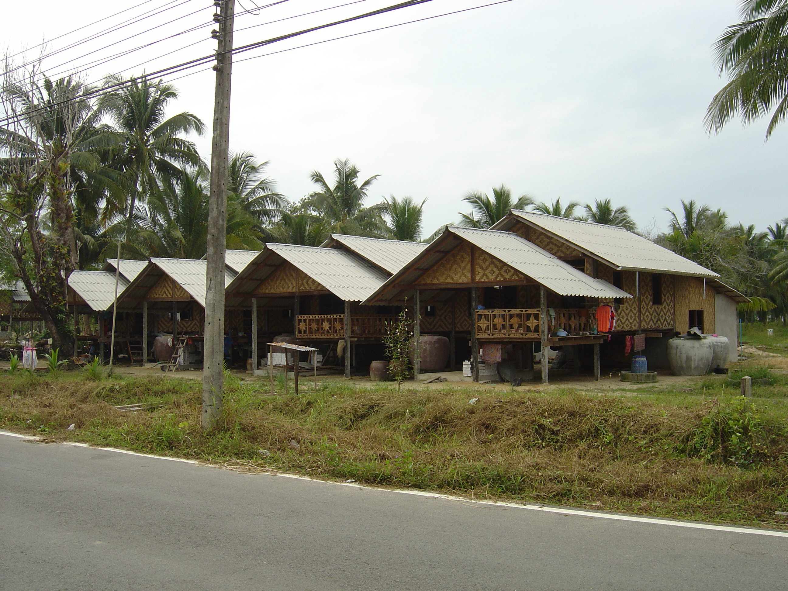 รูปถ่าย ไทย(Thailand) เขาหลัก(Khao Lak) 2005-12 19