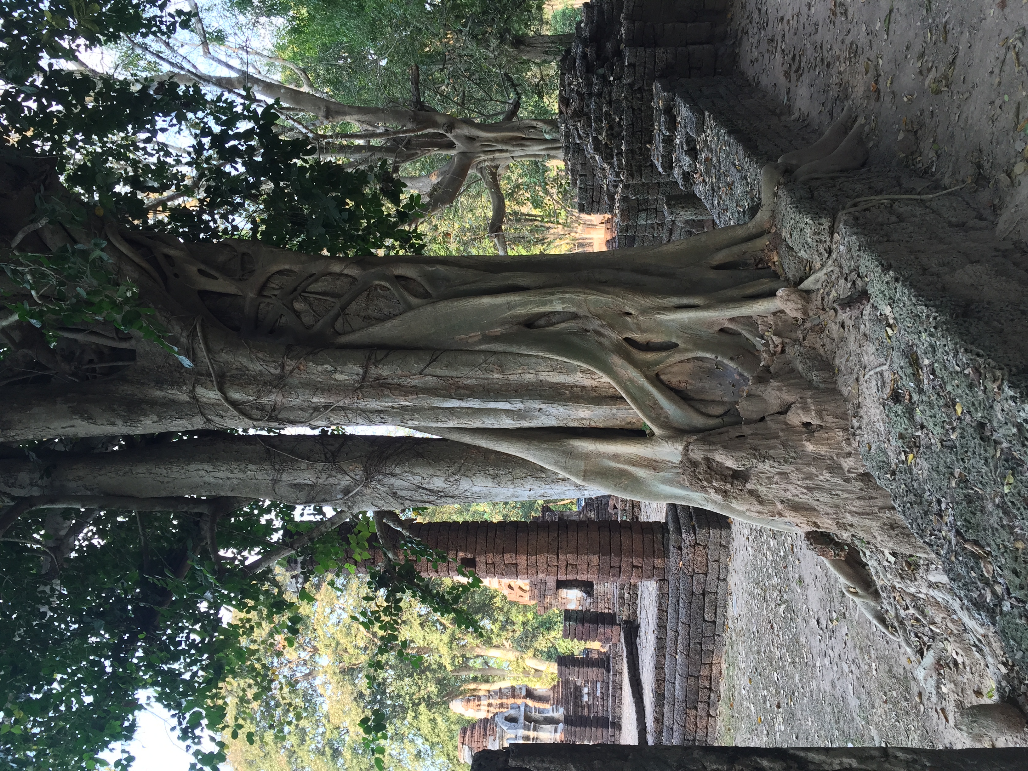 รูปถ่าย ไทย(Thailand) อุทยานประวัติศาสตร์ศรีสัชนาลัย(Si satchanalai historical park) 2014-12 127