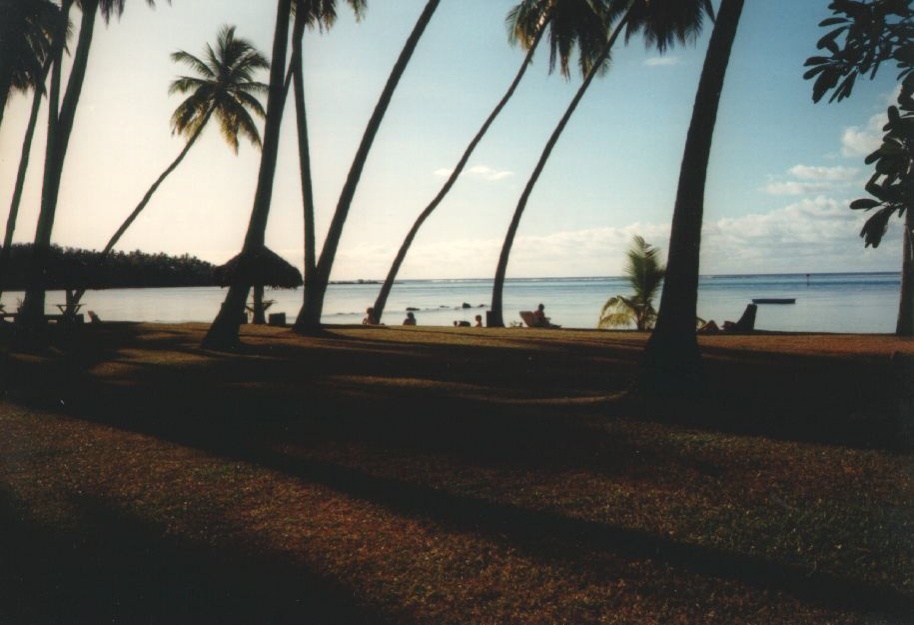 รูปถ่าย เฟรนช์โพลี่นีเซีย(Polynesia) มูเรีย(Moorea) 1993-04 40