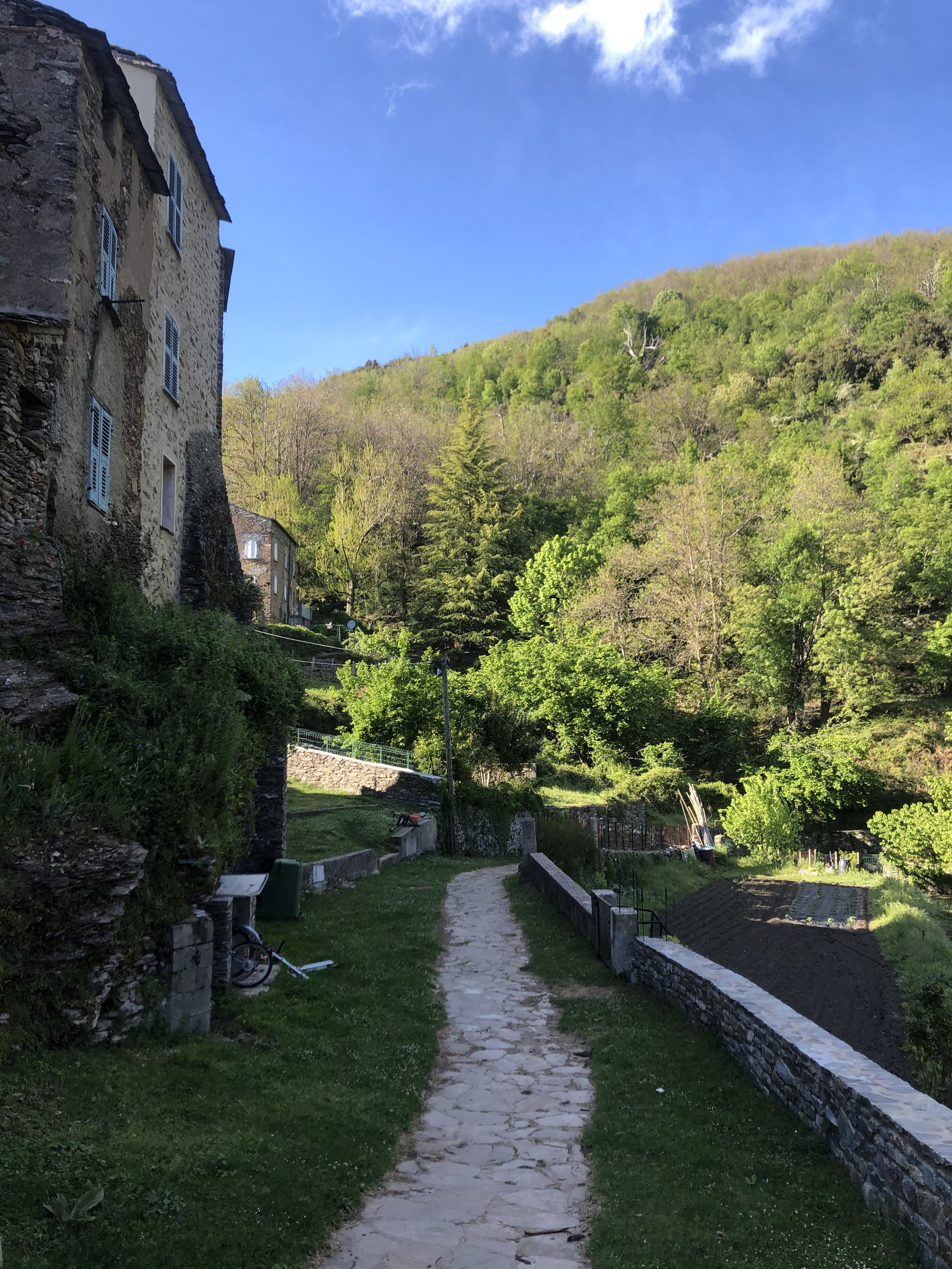 รูปถ่าย ฝรั่งเศส(France) คอร์สิคา(Corsica) 2021-05 63