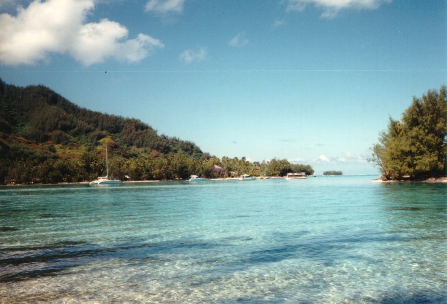 รูปถ่าย เฟรนช์โพลี่นีเซีย(Polynesia) มูเรีย(Moorea) 1993-04 18