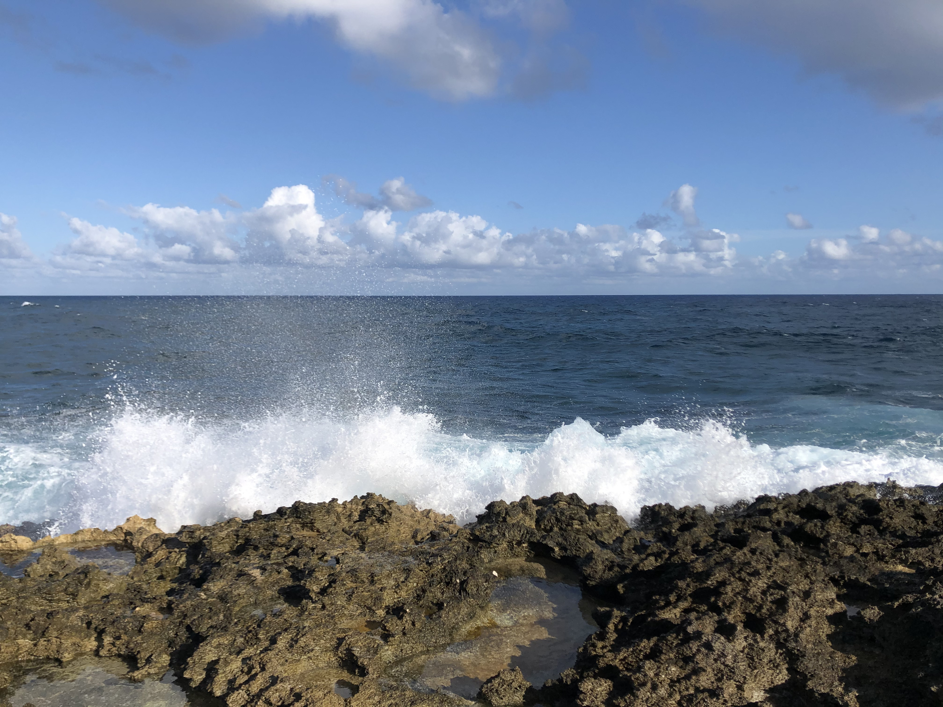 รูปถ่าย กวาเดอลูป(Guadeloupe) แหลมคาสเซิลพอยต์(Castle Point) 2021-02 256