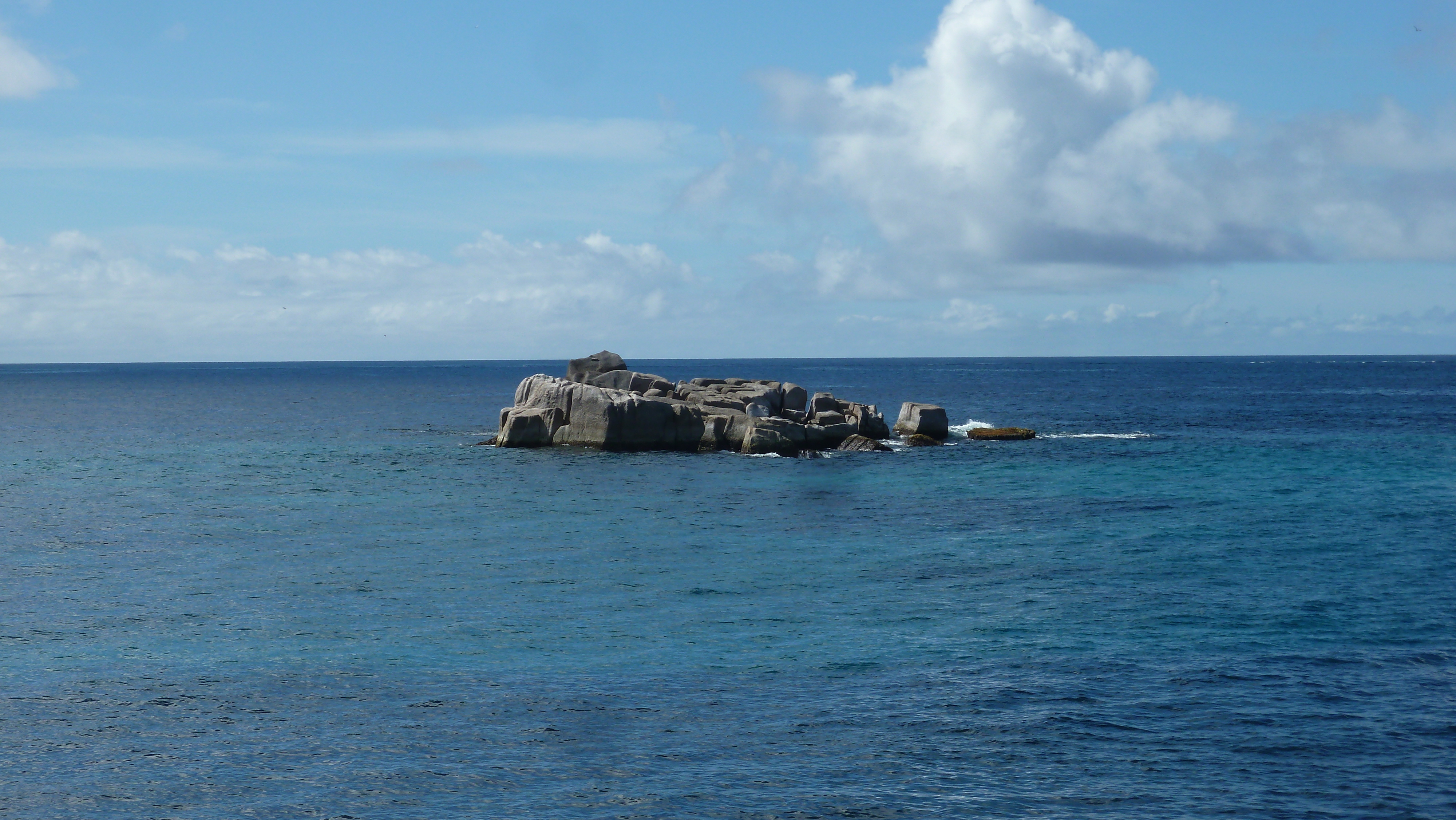 รูปถ่าย เซเชลส์(Seychelles) เกาะโกโก้(Coco Island) 2011-10 77