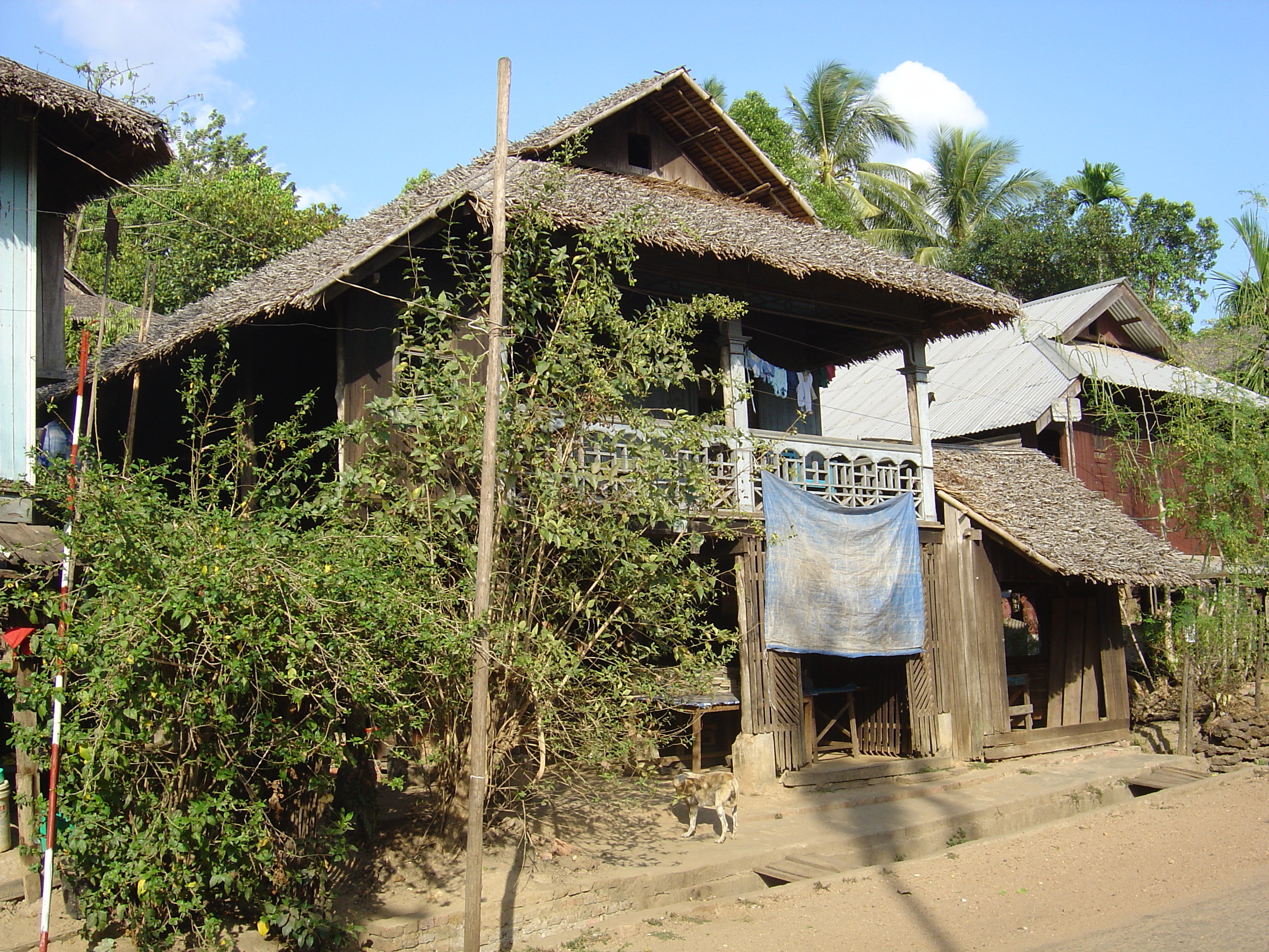 รูปถ่าย พม่า(Myanmar) มะริด(Myeik (Mergui)) 2005-01 141