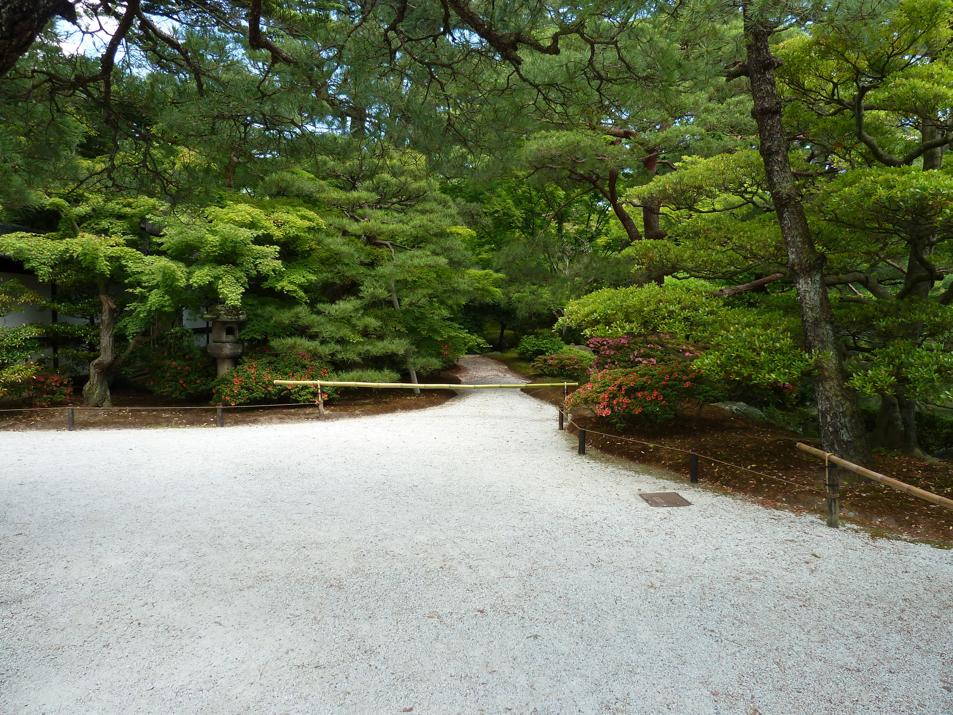 รูปถ่าย ญี่ปุ่น(Japan) เกียวโต(Kyoto) พระราชวังหลวงเกียวโต(Kyoto Imperial Palace) 2010-06 44