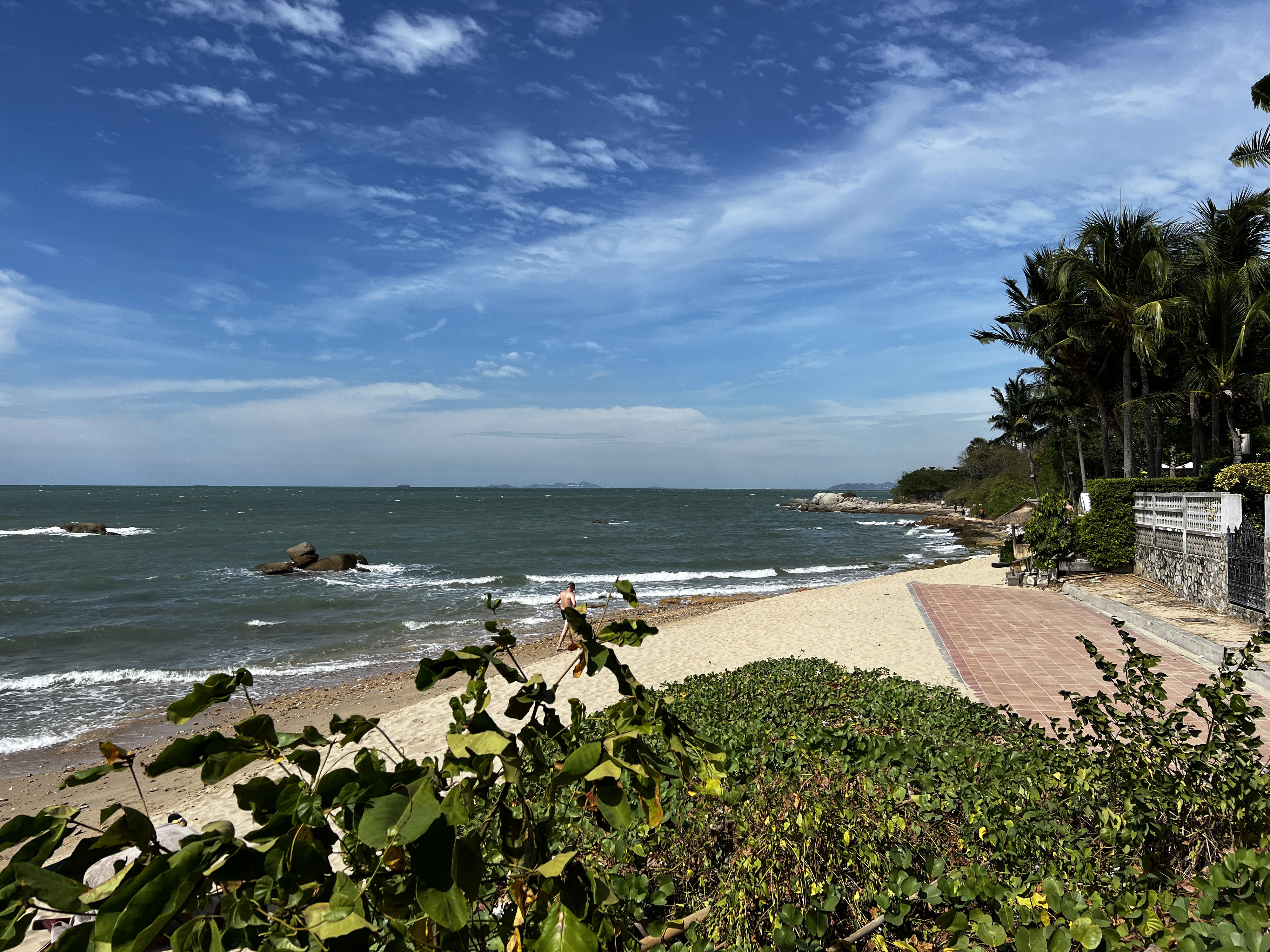 รูปถ่าย ไทย(Thailand) พัทยา(Pattaya) 2022-12 66