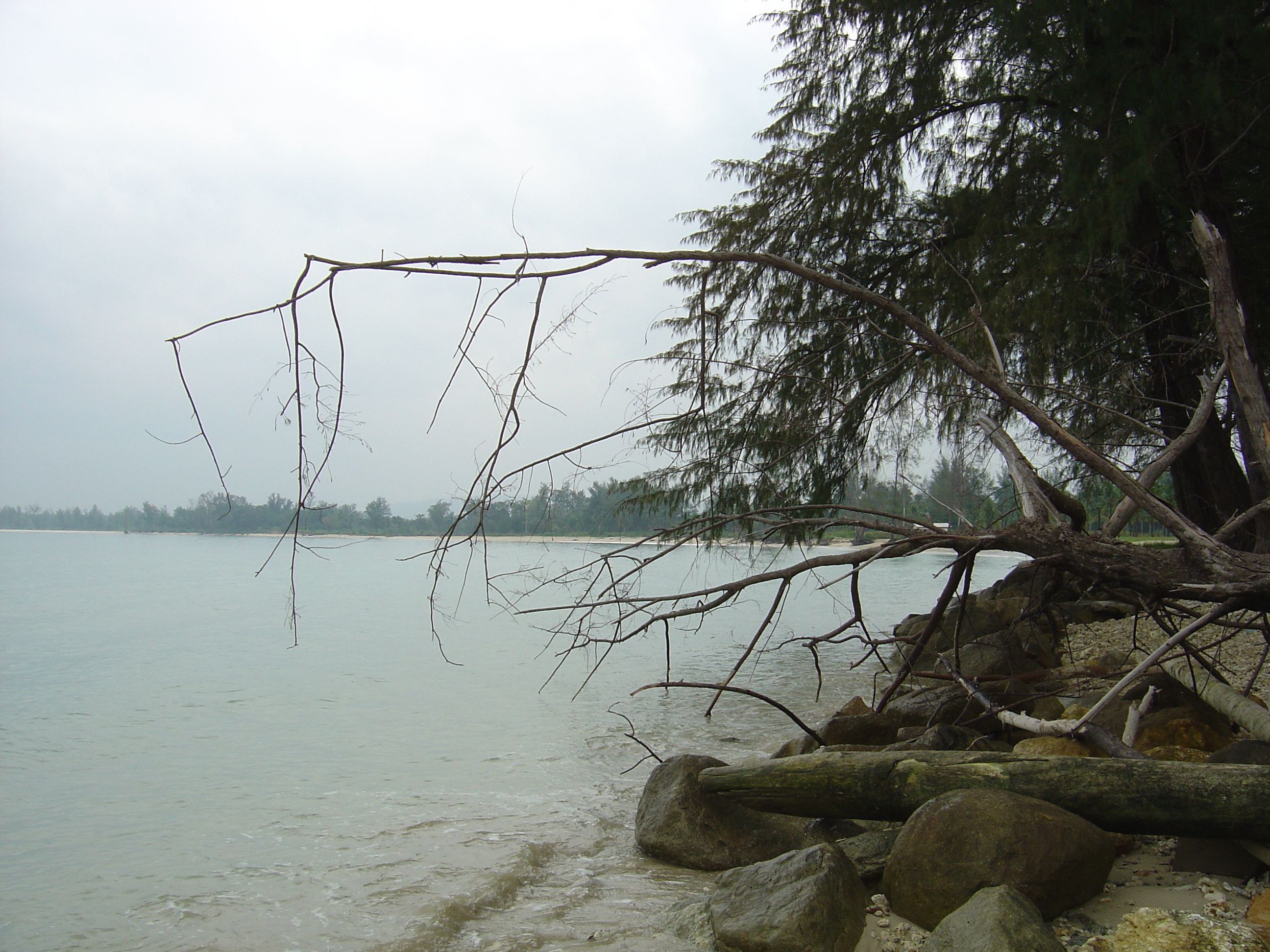 รูปถ่าย ไทย(Thailand) เขาหลัก(Khao Lak) หาดบางสัก(Bang Sak Beach) 2005-12 83