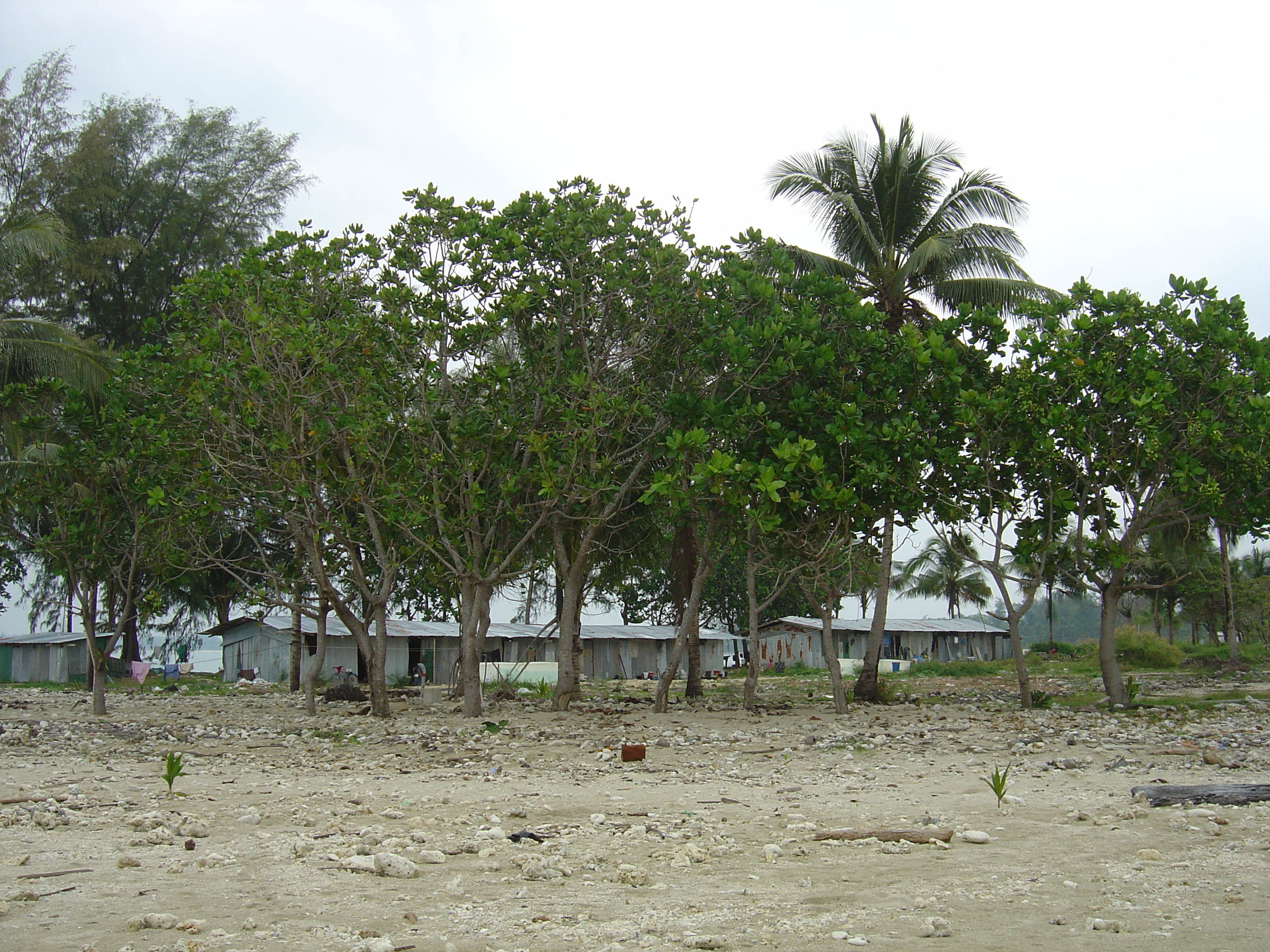 รูปถ่าย ไทย(Thailand) เขาหลัก(Khao Lak) หาดบางสัก(Bang Sak Beach) 2005-12 2