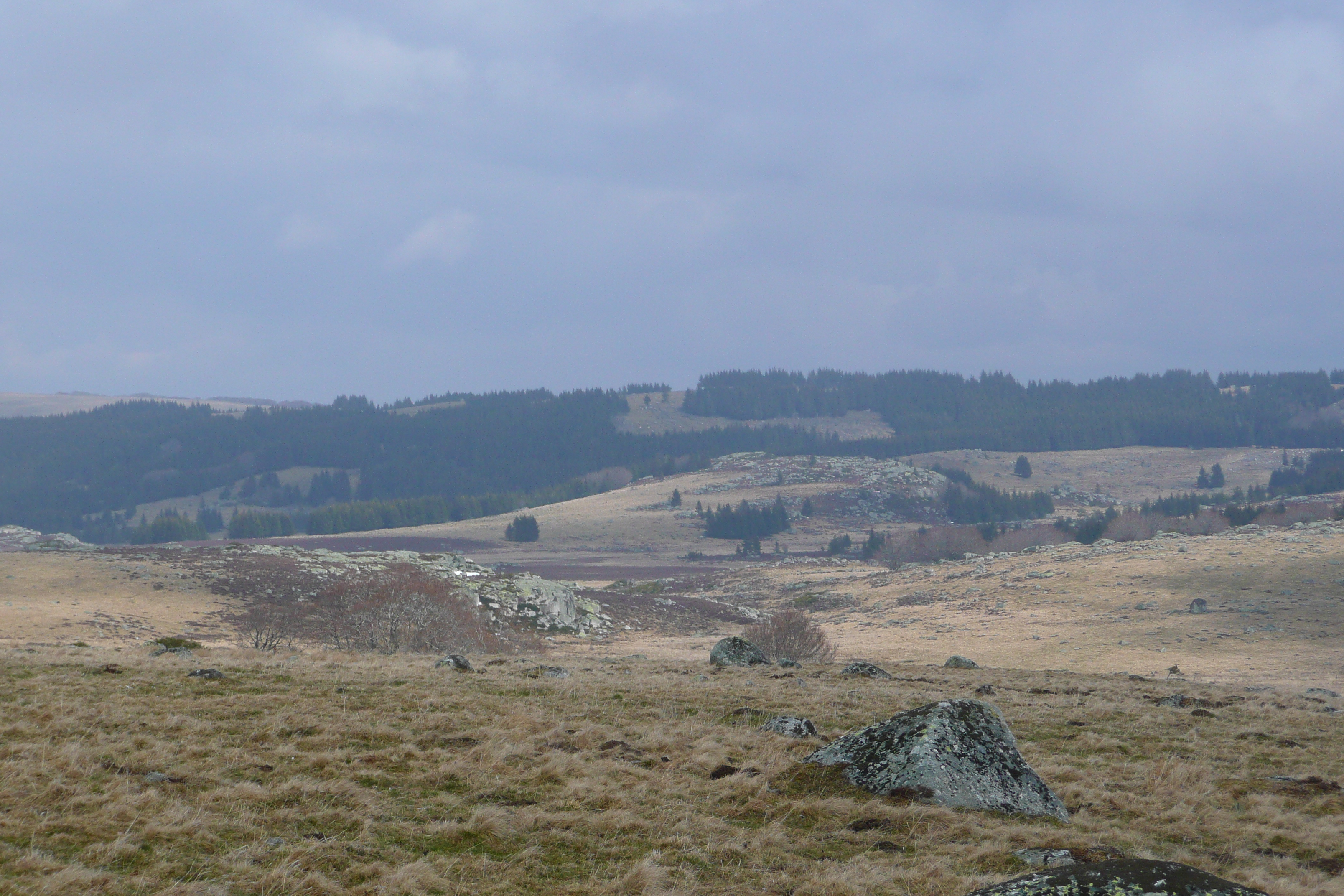 รูปถ่าย ฝรั่งเศส(France) โอบรัก(L'Aubrac) 2008-04 7