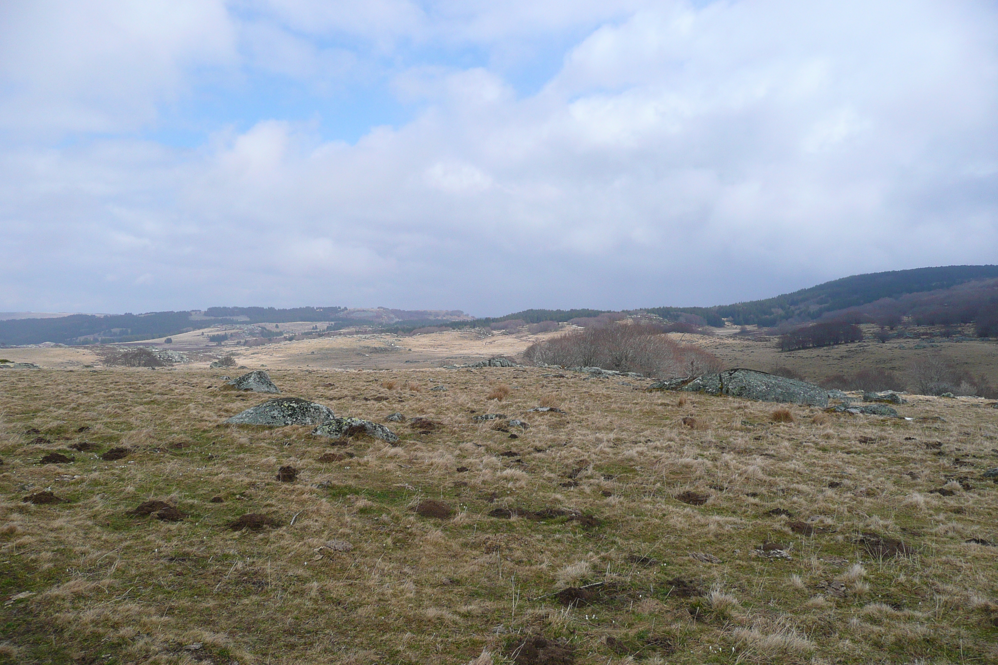 รูปถ่าย ฝรั่งเศส(France) โอบรัก(L'Aubrac) 2008-04 4