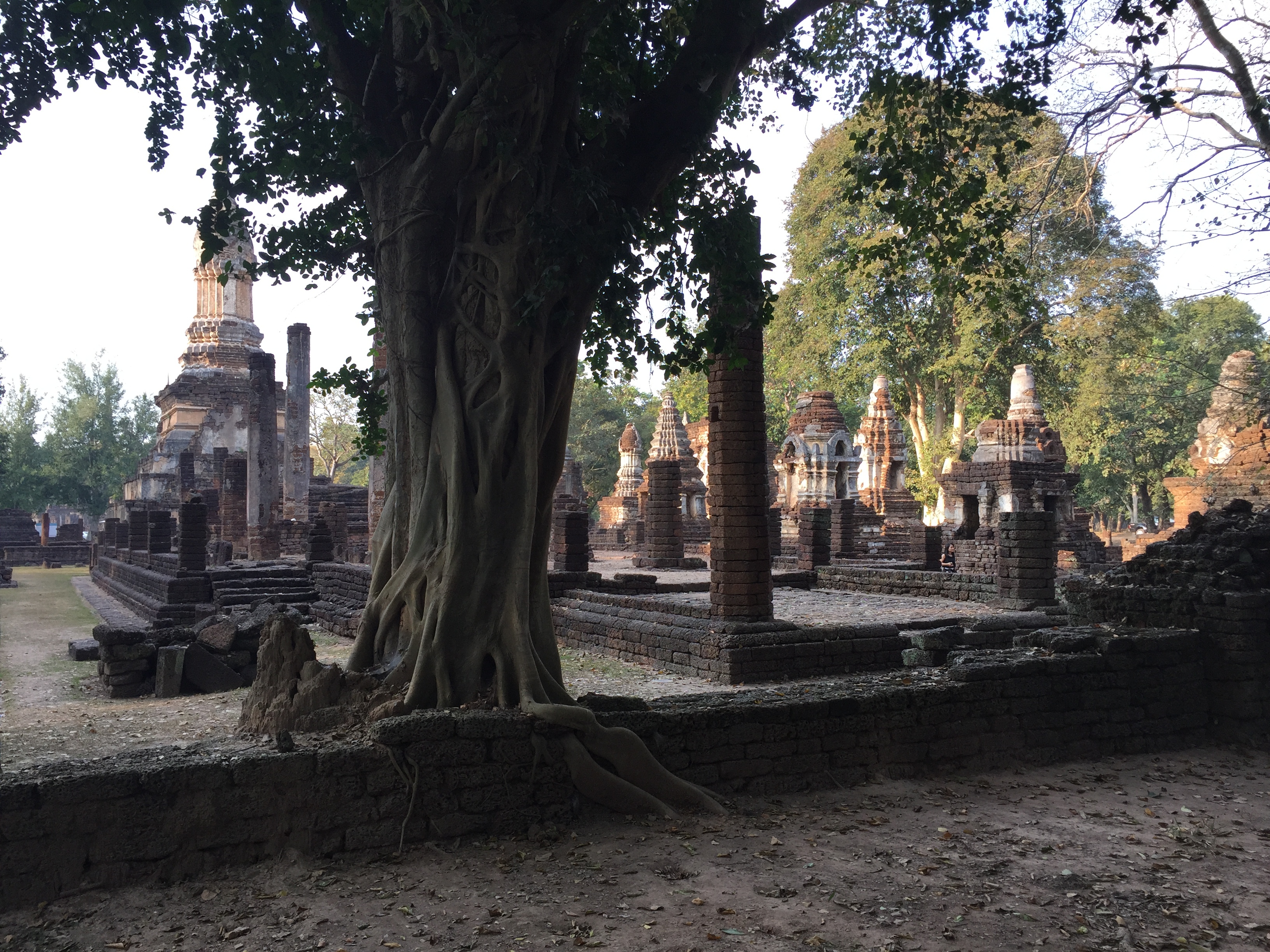 รูปถ่าย ไทย(Thailand) อุทยานประวัติศาสตร์ศรีสัชนาลัย(Si satchanalai historical park) 2014-12 138