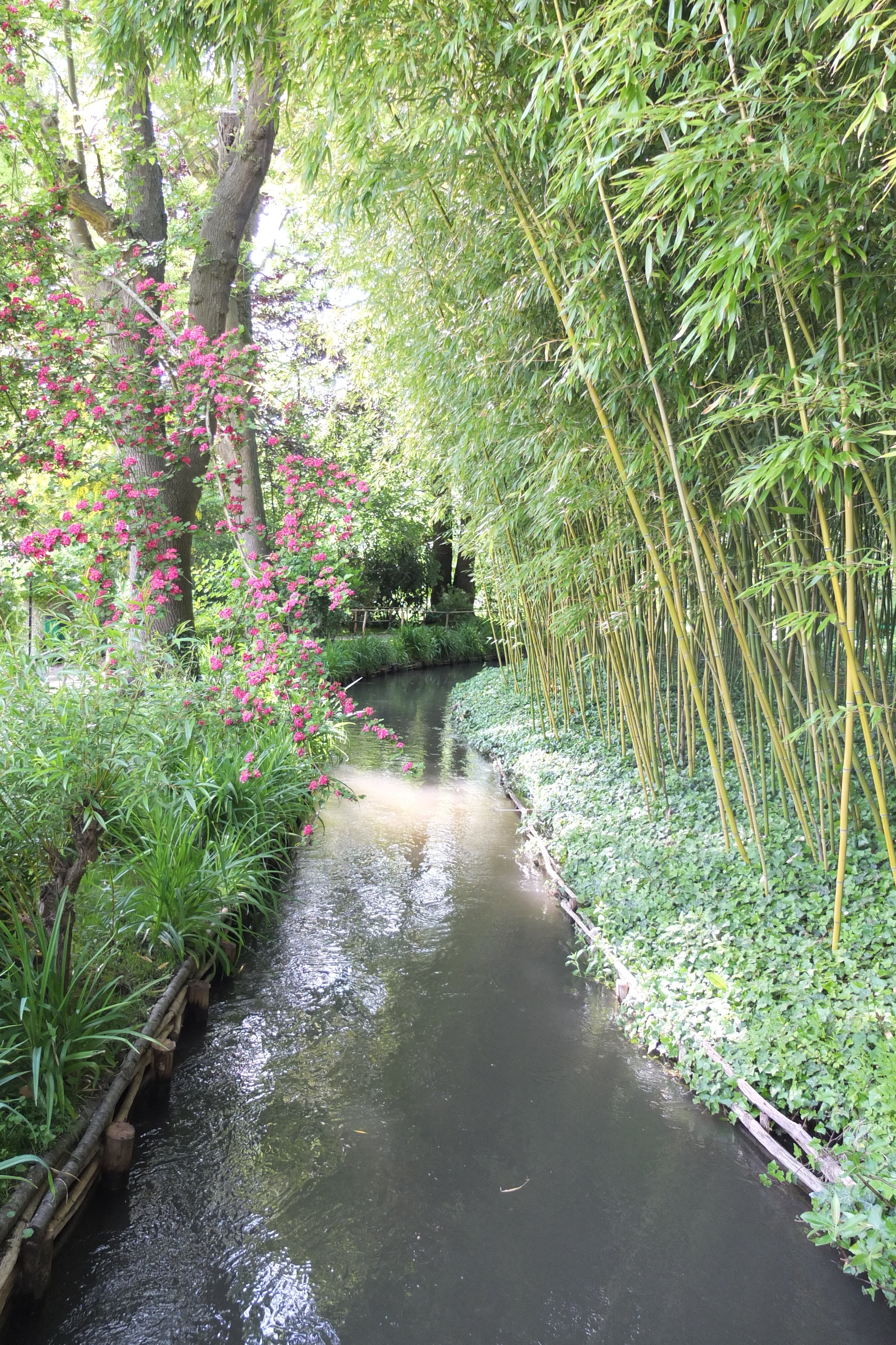 รูปถ่าย ฝรั่งเศส(France) ฌีแวร์นี(Giverny) 2013-06 224
