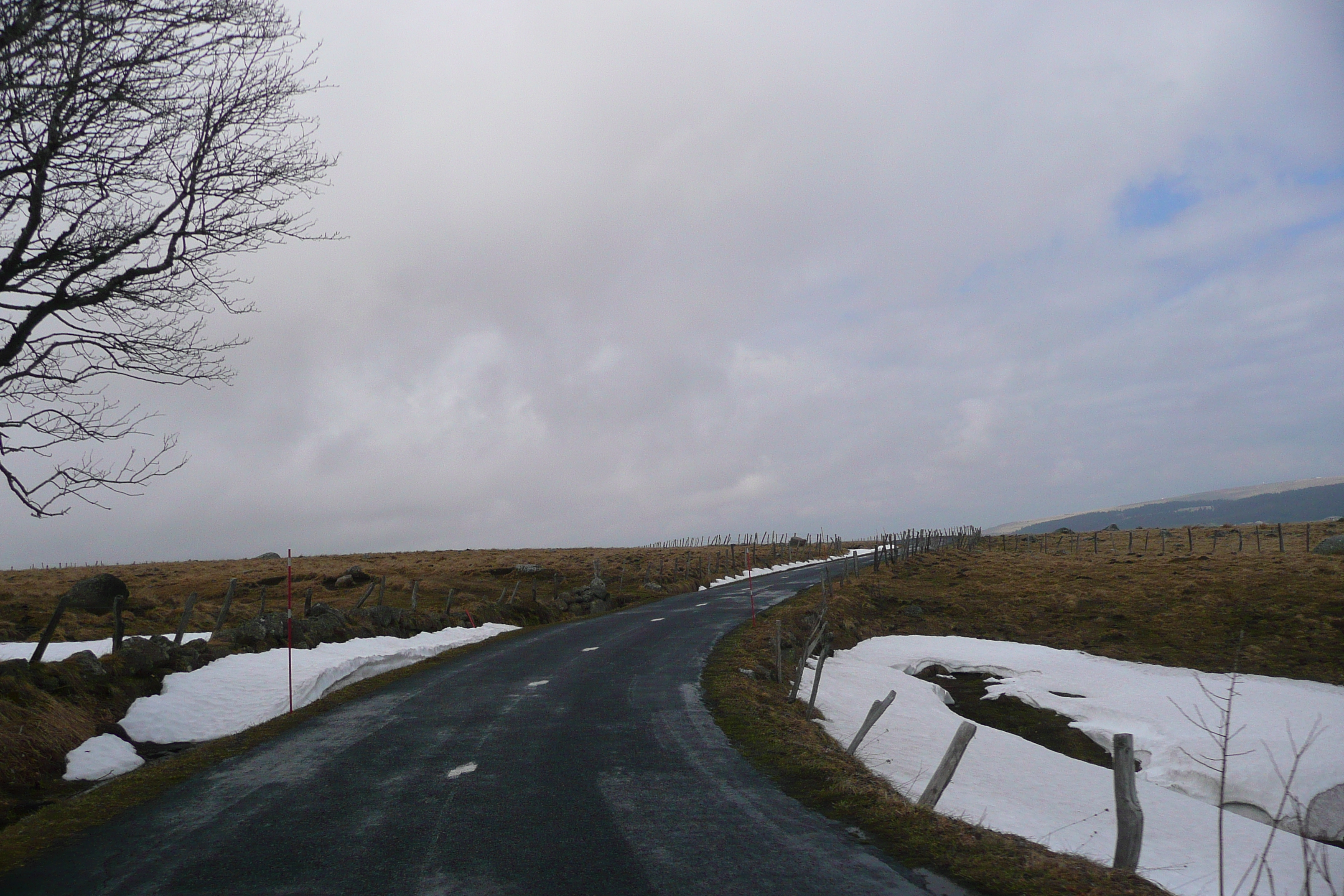 รูปถ่าย ฝรั่งเศส(France) โอบรัก(L'Aubrac) 2008-04 27