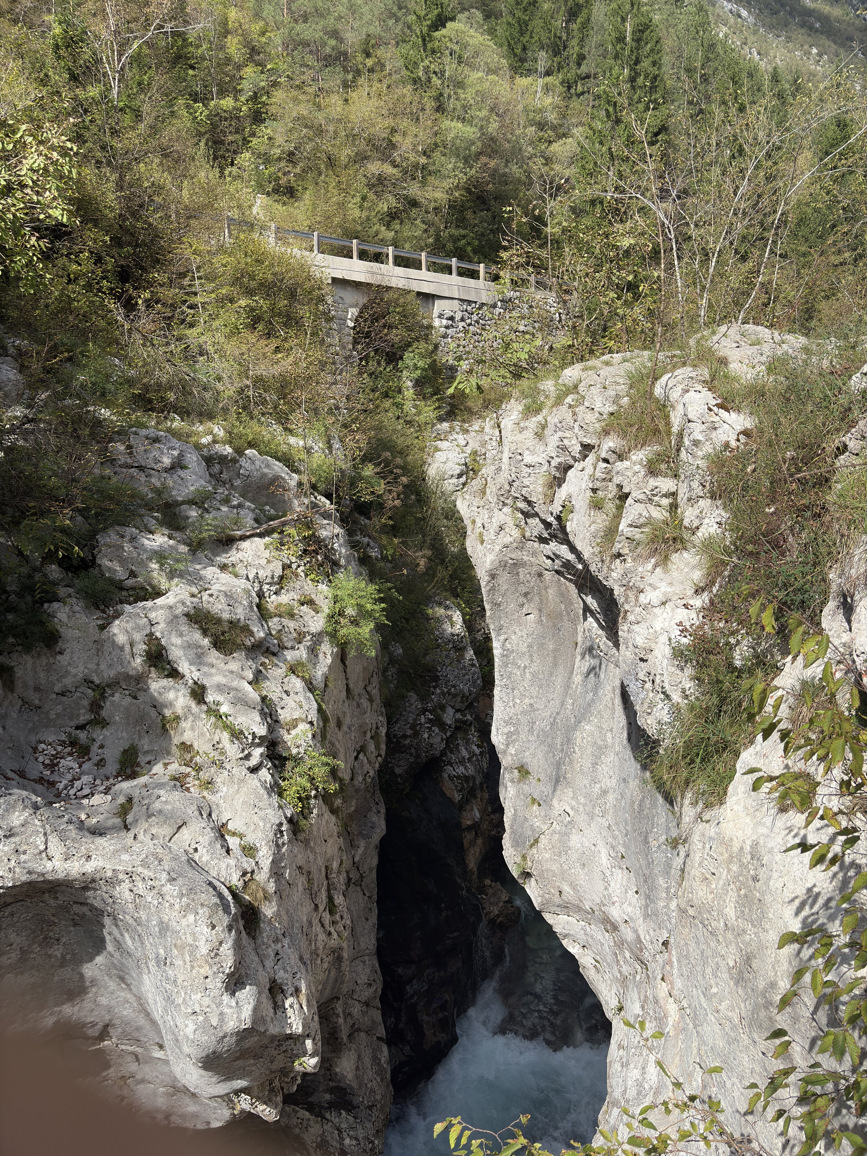 รูปถ่าย สโลวีเนีย(Slovenia) แม่น้ำซอชา(Soca River) 2025-09 145
