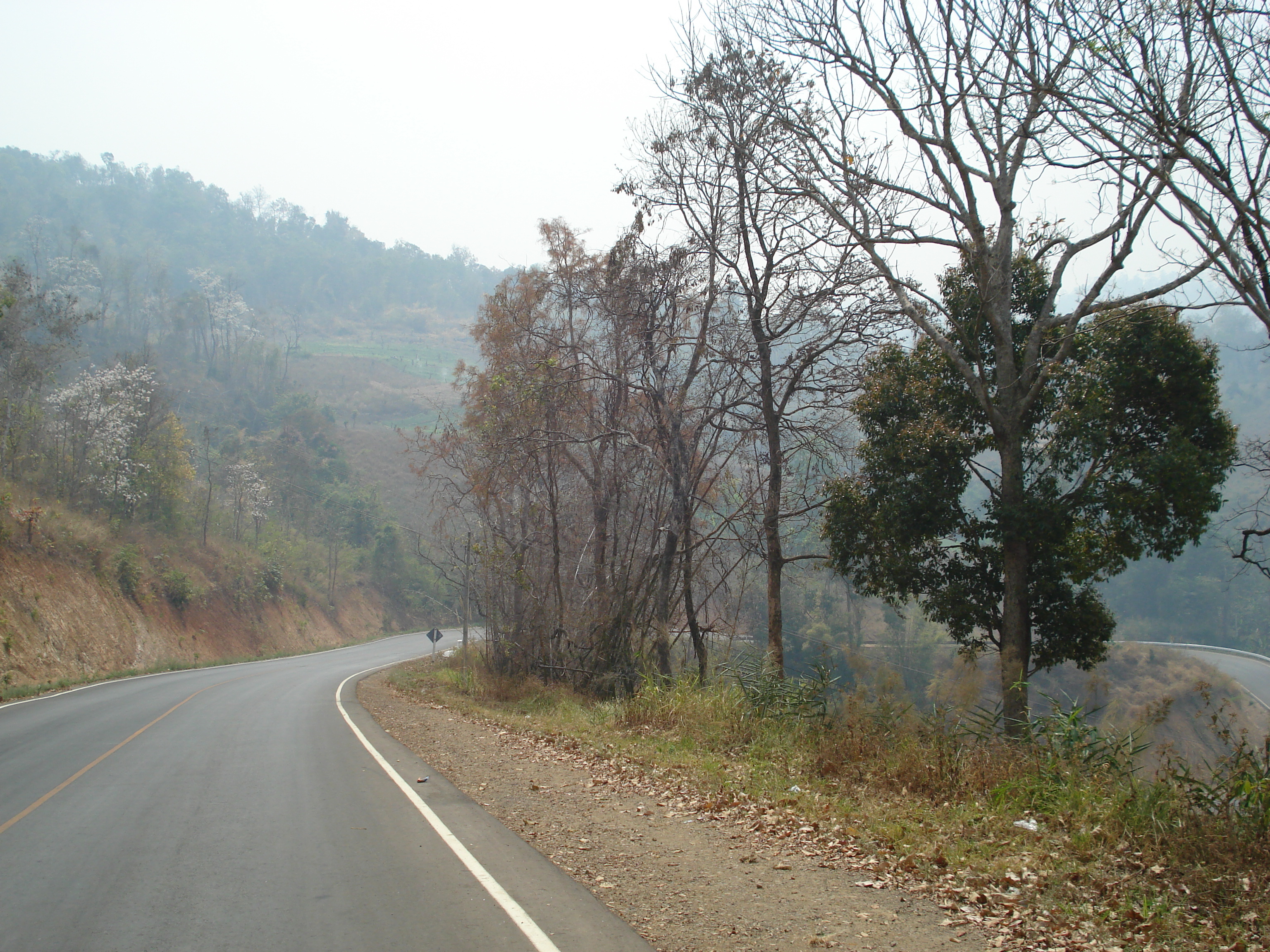 รูปถ่าย ไทย(Thailand) ถนนจากปางมะผ้าไปปาย(Pang Mapha to Pai road) 2007-02 75