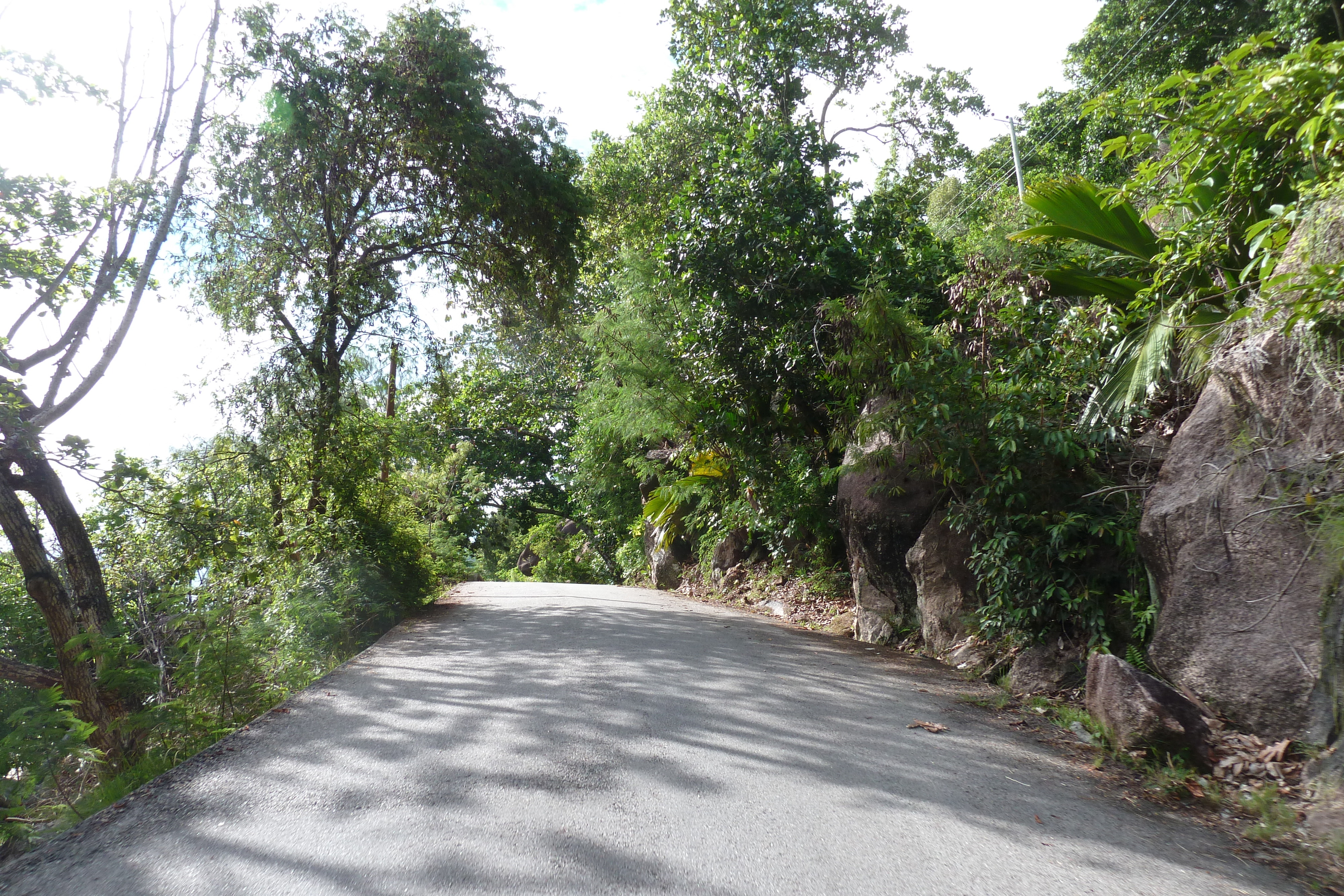 รูปถ่าย เซเชลส์(Seychelles) เกาะปราลิน(Praslin) 2011-10 31