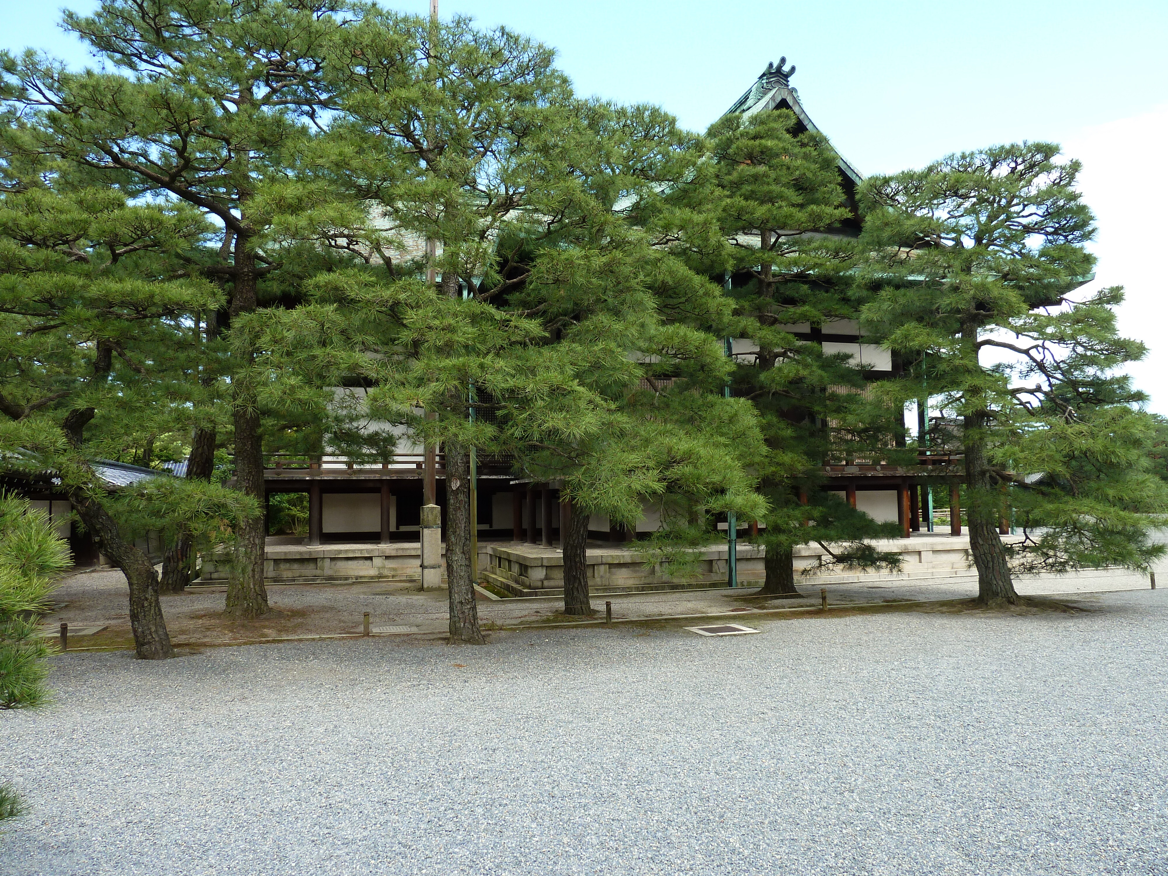 รูปถ่าย ญี่ปุ่น(Japan) เกียวโต(Kyoto) พระราชวังหลวงเกียวโต(Kyoto Imperial Palace) 2010-06 29