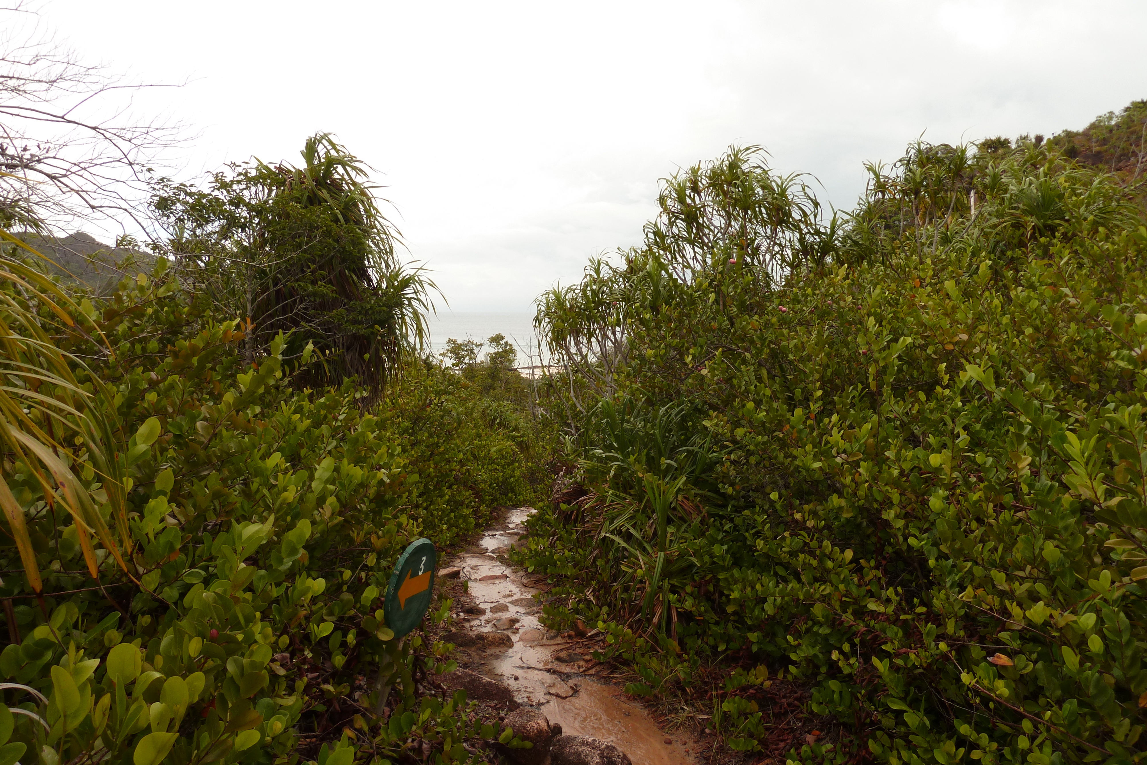 รูปถ่าย เซเชลส์(Seychelles) เกาะกูรีเยิซ(Curieuse) 2011-10 1