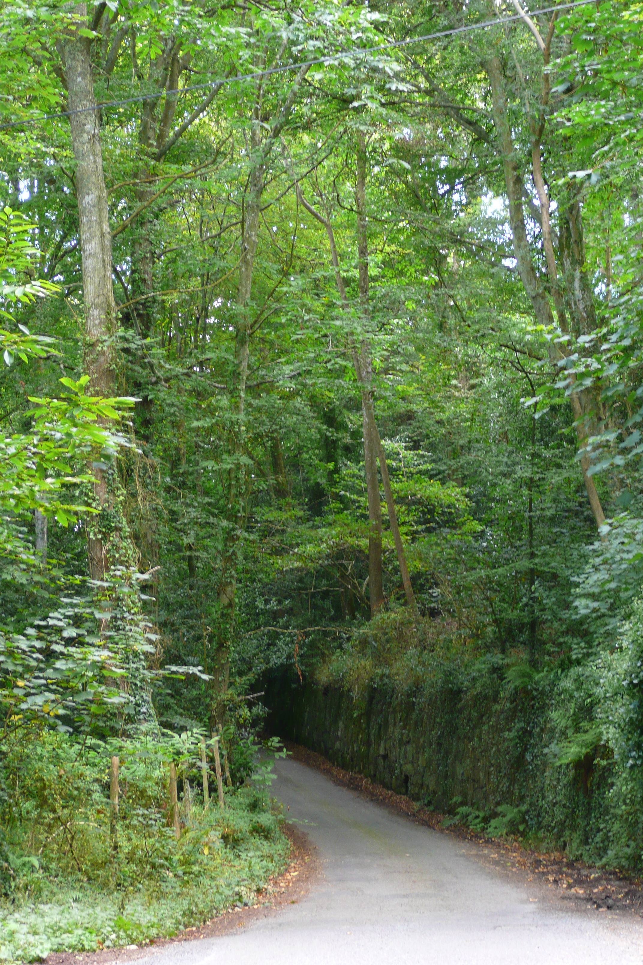 รูปถ่าย ฝรั่งเศส(France) ถนนในบริตตานี(Brittany roads) 2007-08 6