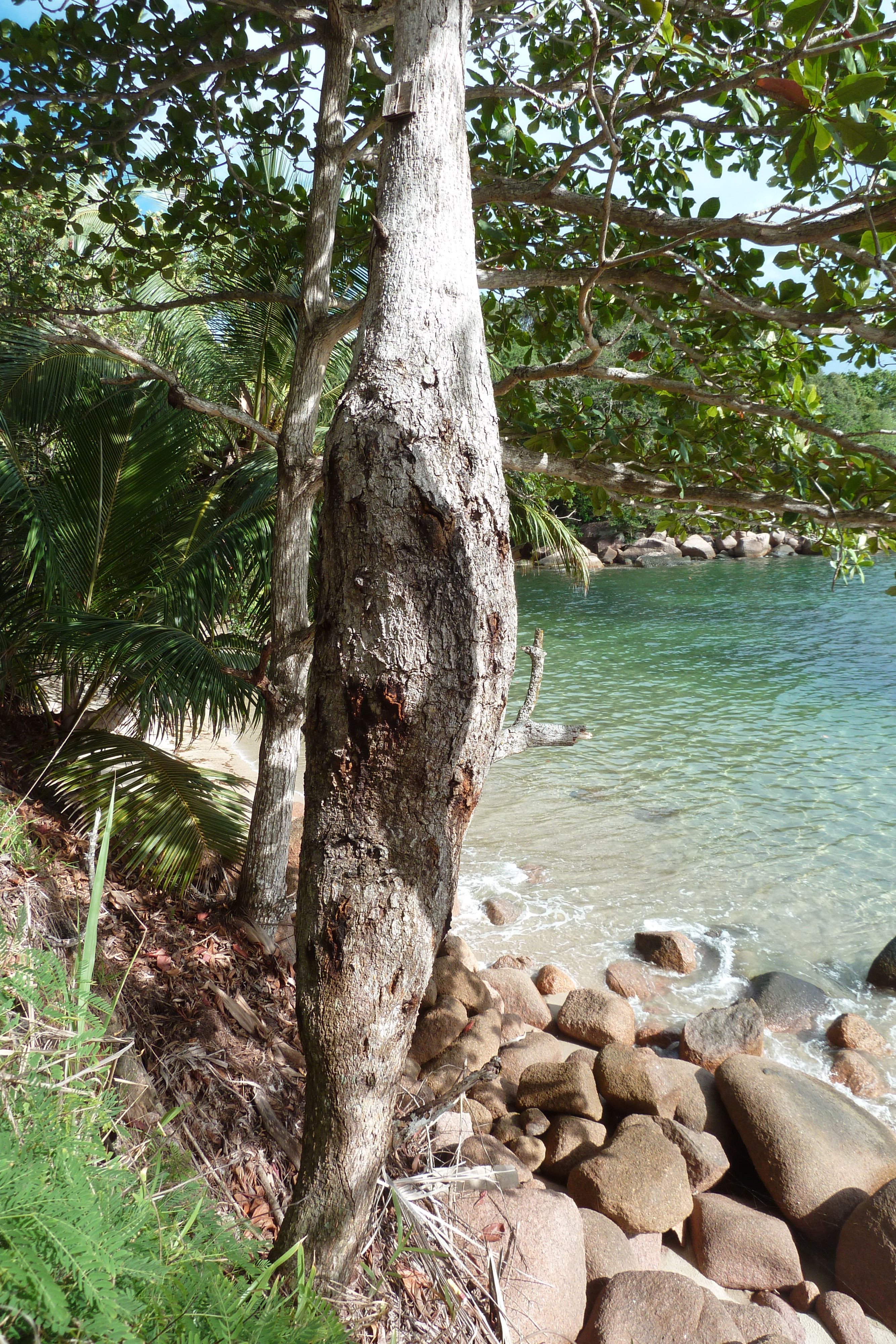 รูปถ่าย เซเชลส์(Seychelles) 2011-10 15
