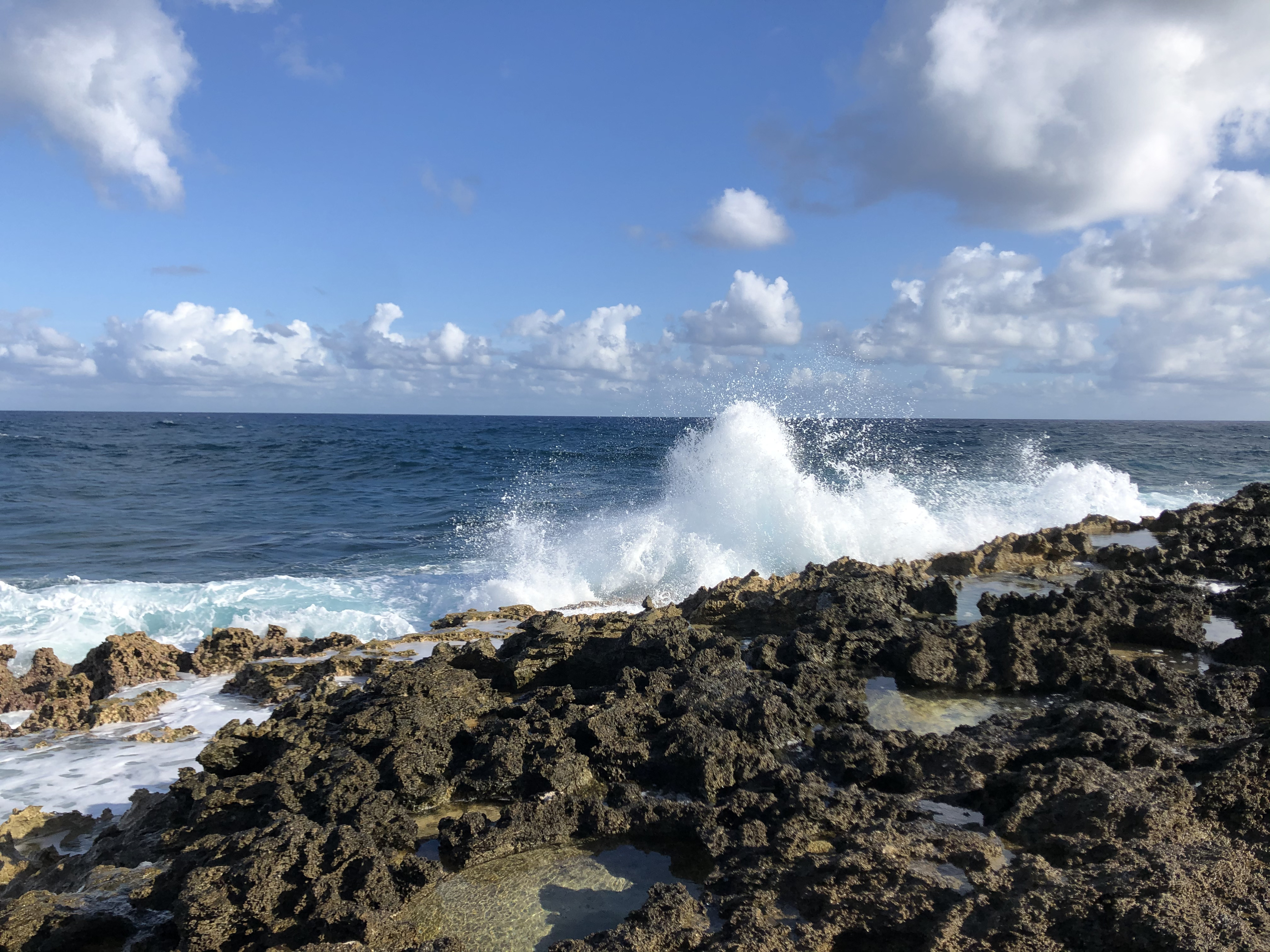 รูปถ่าย กวาเดอลูป(Guadeloupe) แหลมคาสเซิลพอยต์(Castle Point) 2021-02 190